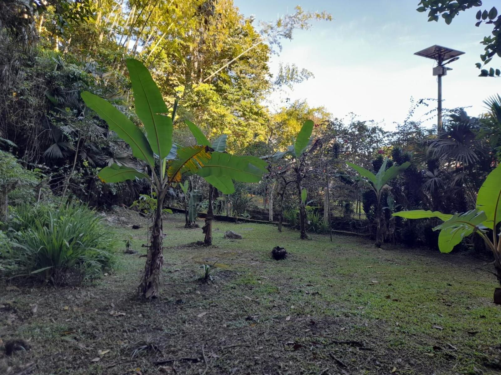 Quinta La Primavera