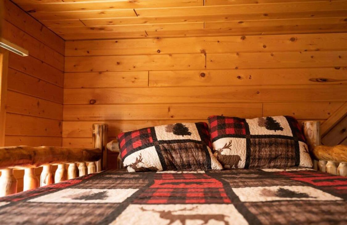 the log cabin