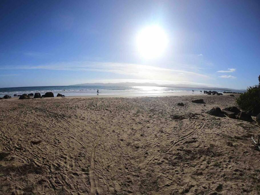 Devonport's Relax at Manning