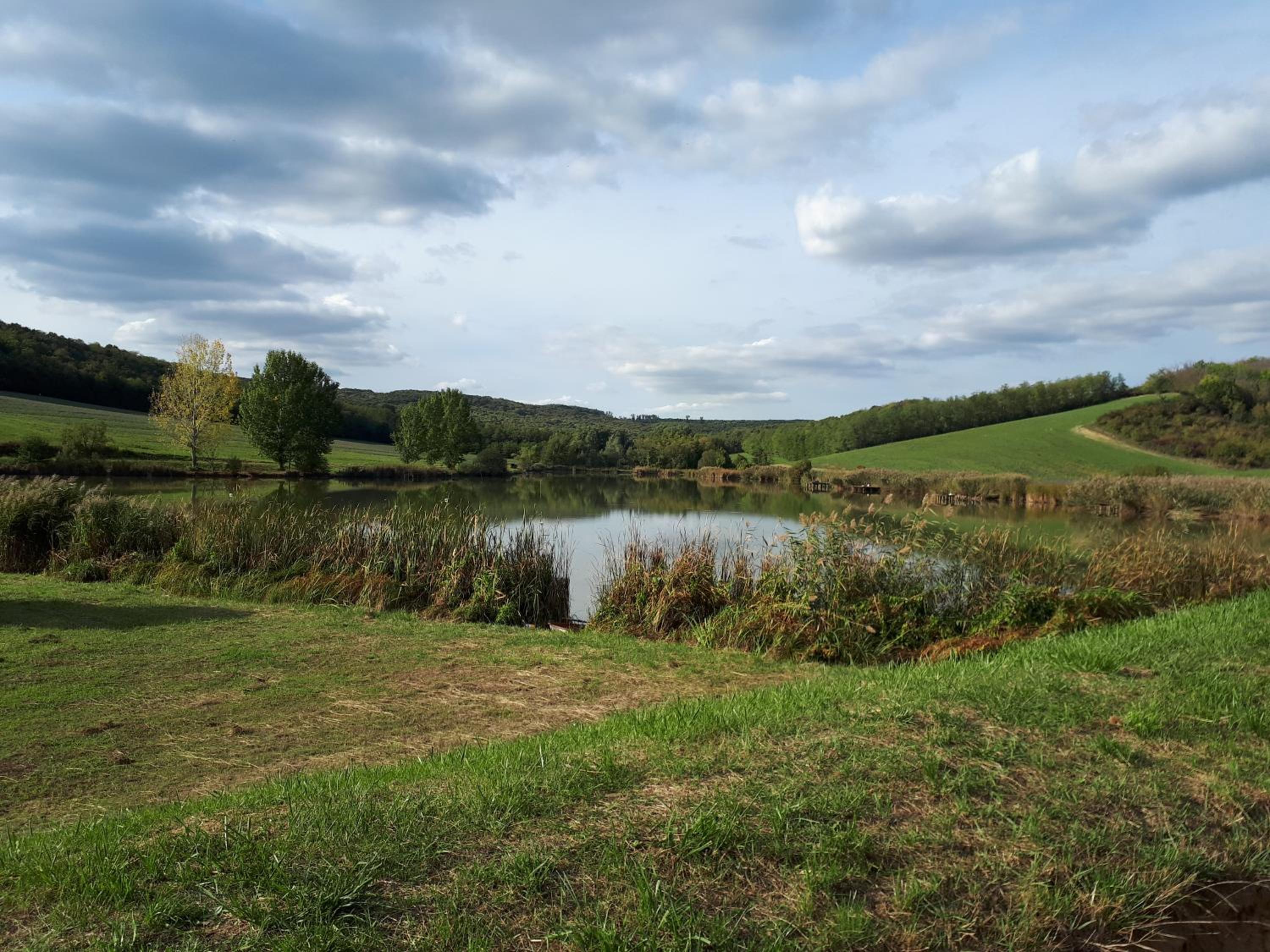 Photo 25