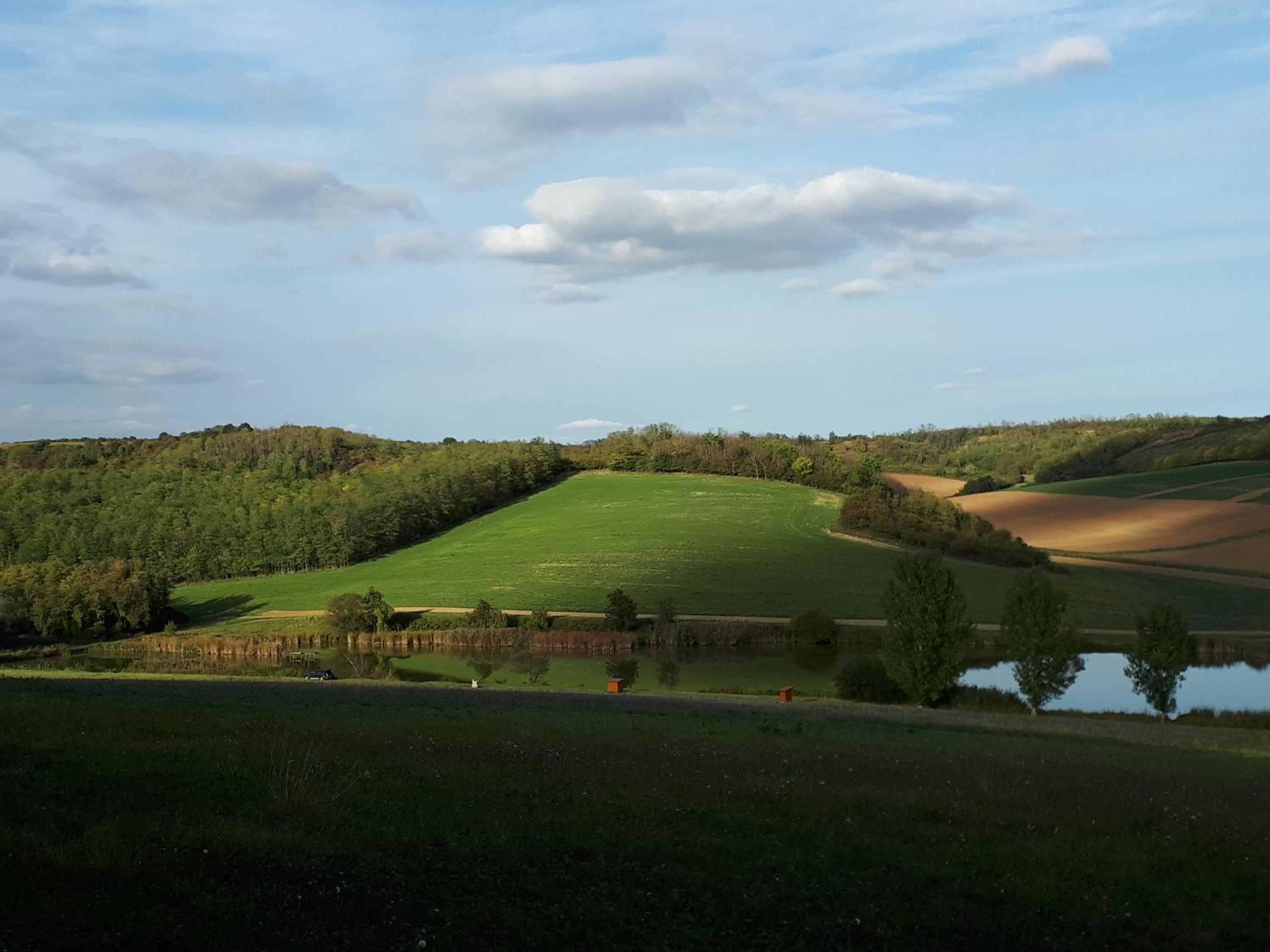 Photo 27
