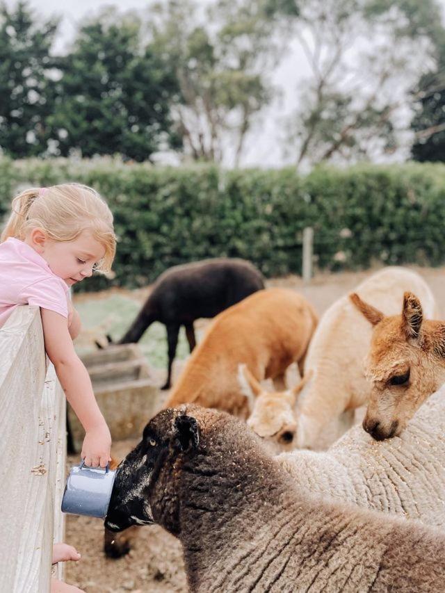 Kookaburra Cottage - 10 minutes from Mount Gambier CBD