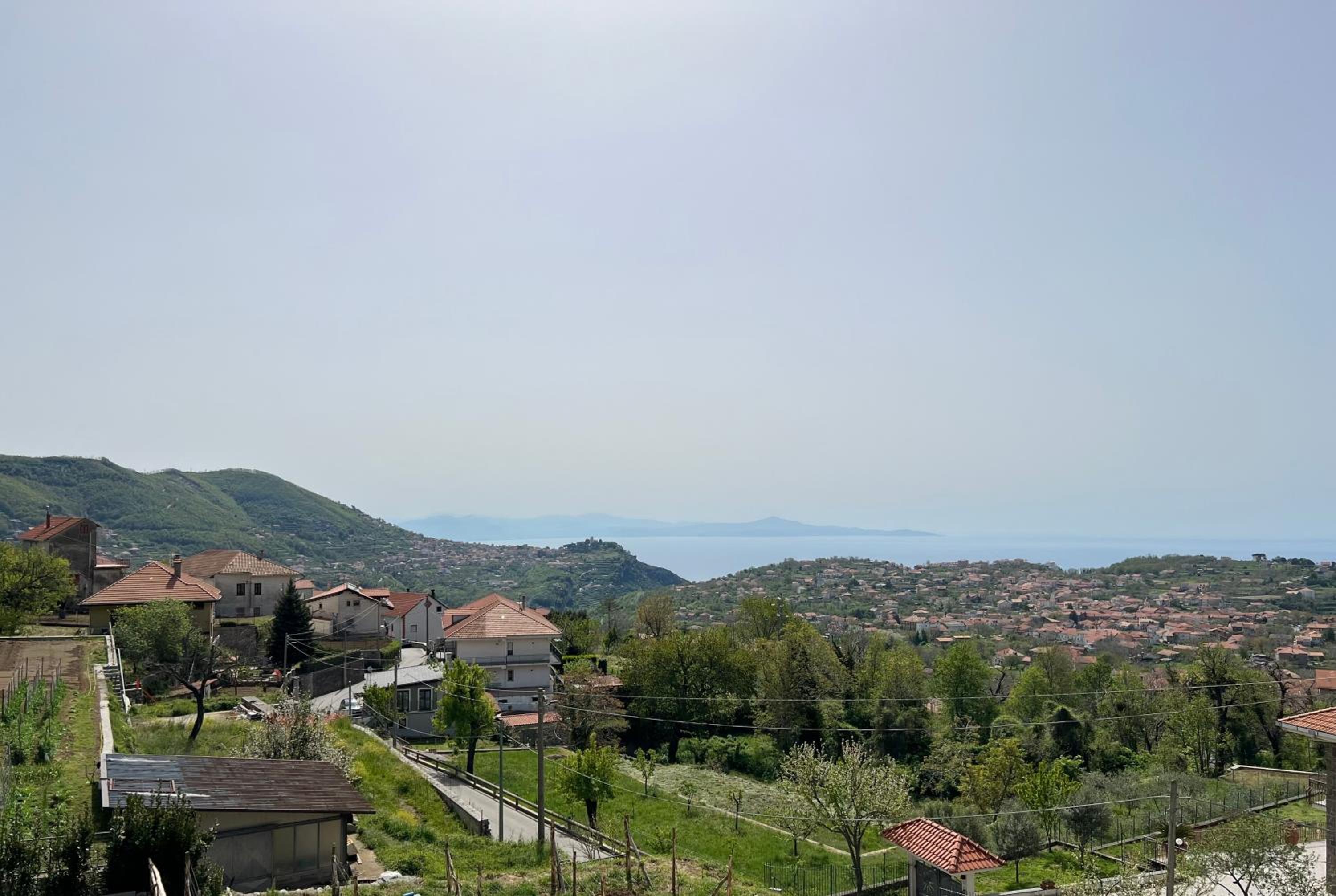 Il Vigneto di Nonno Pietro