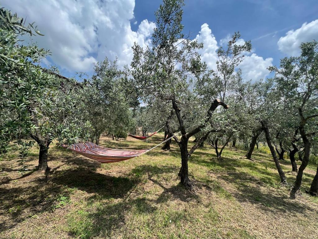 Casa della Noce view 5