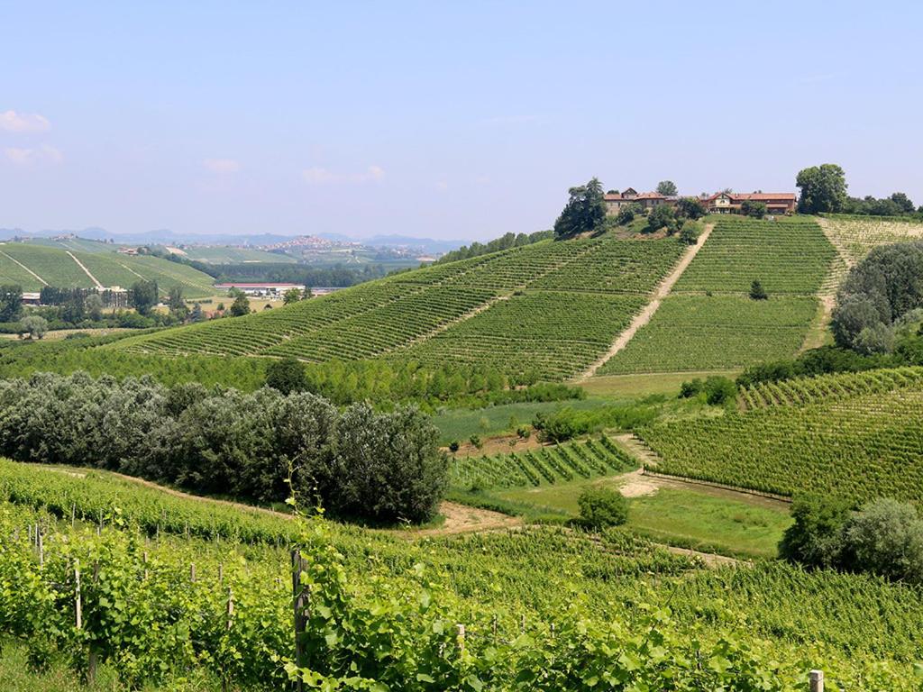 Tenuta Montanello B&B view 4
