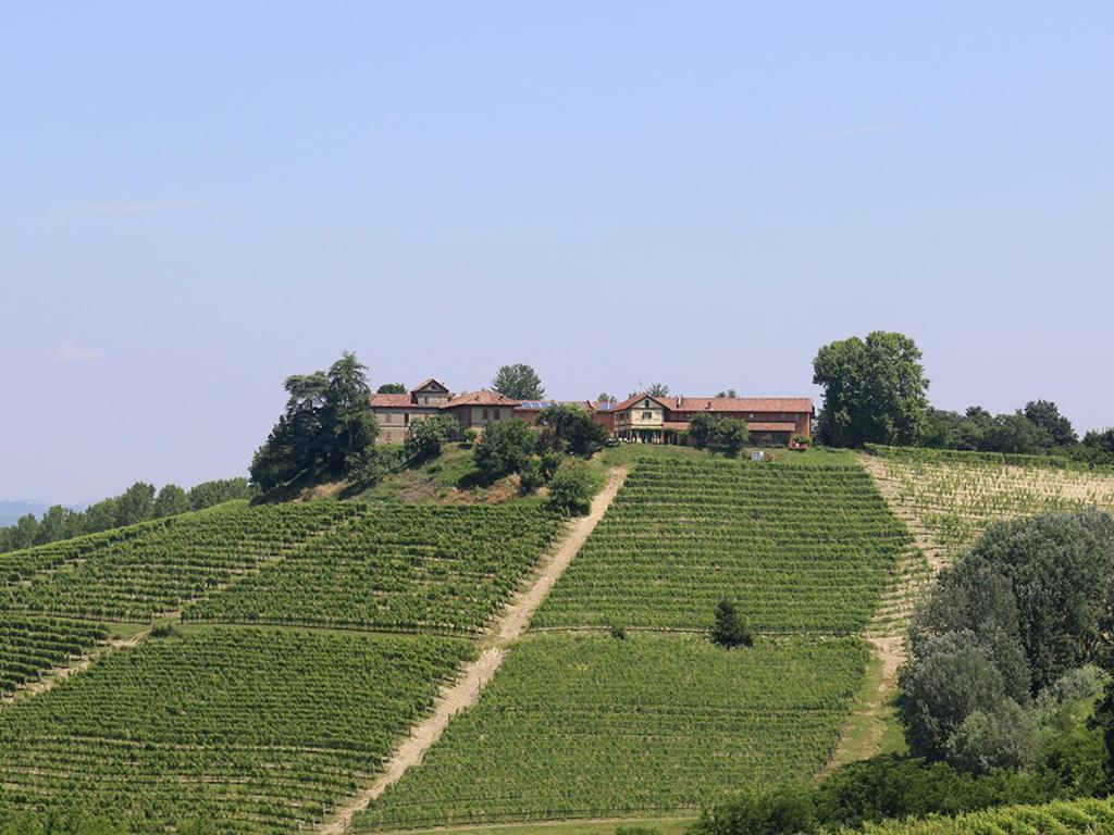 Tenuta Montanello B&B view 2