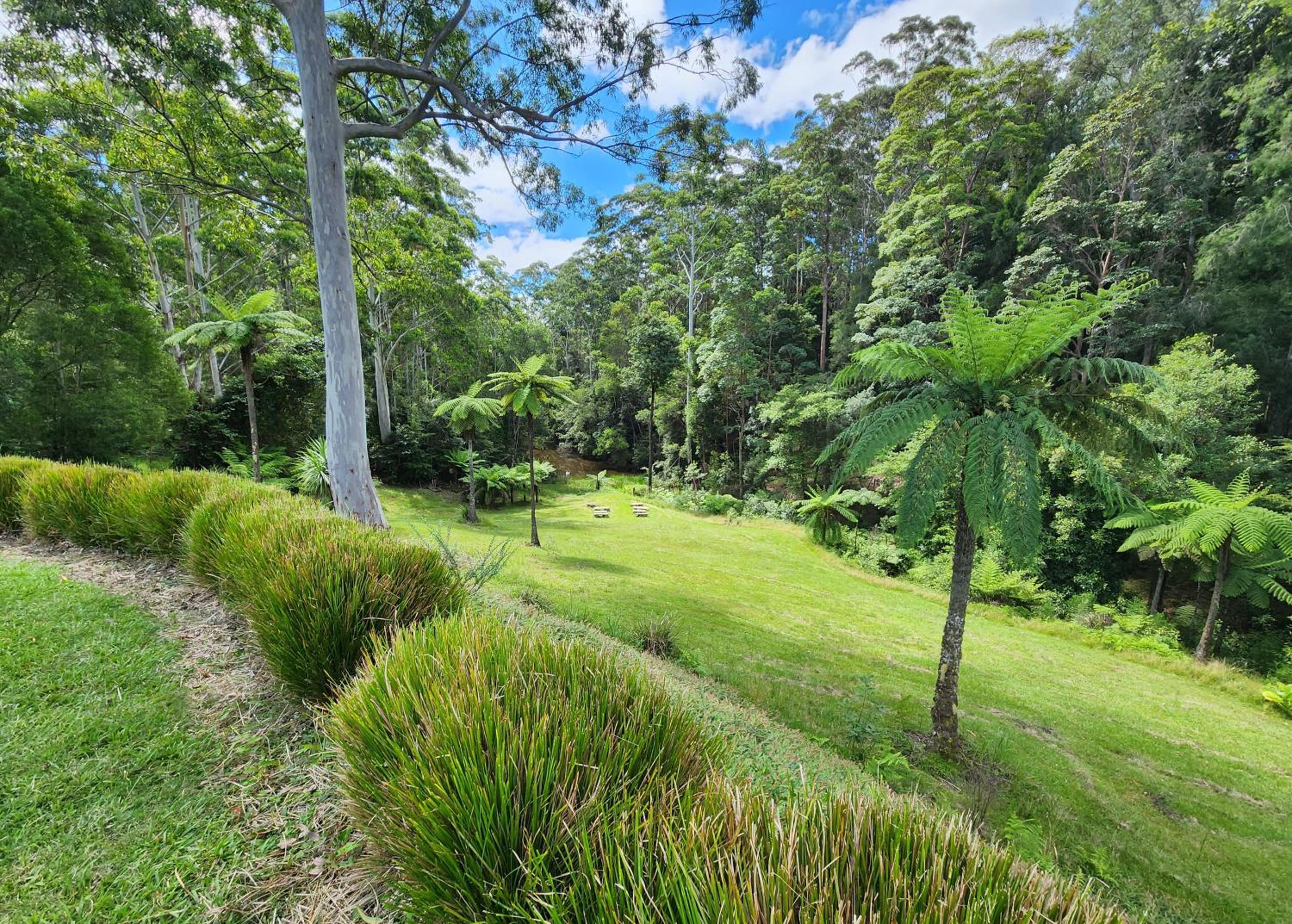 Coffs Coast Mountain Retreat Cabin 2