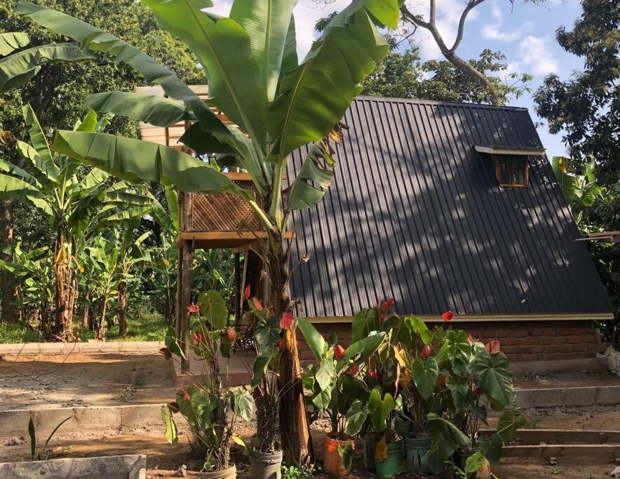 Natural villa Arusha view 5