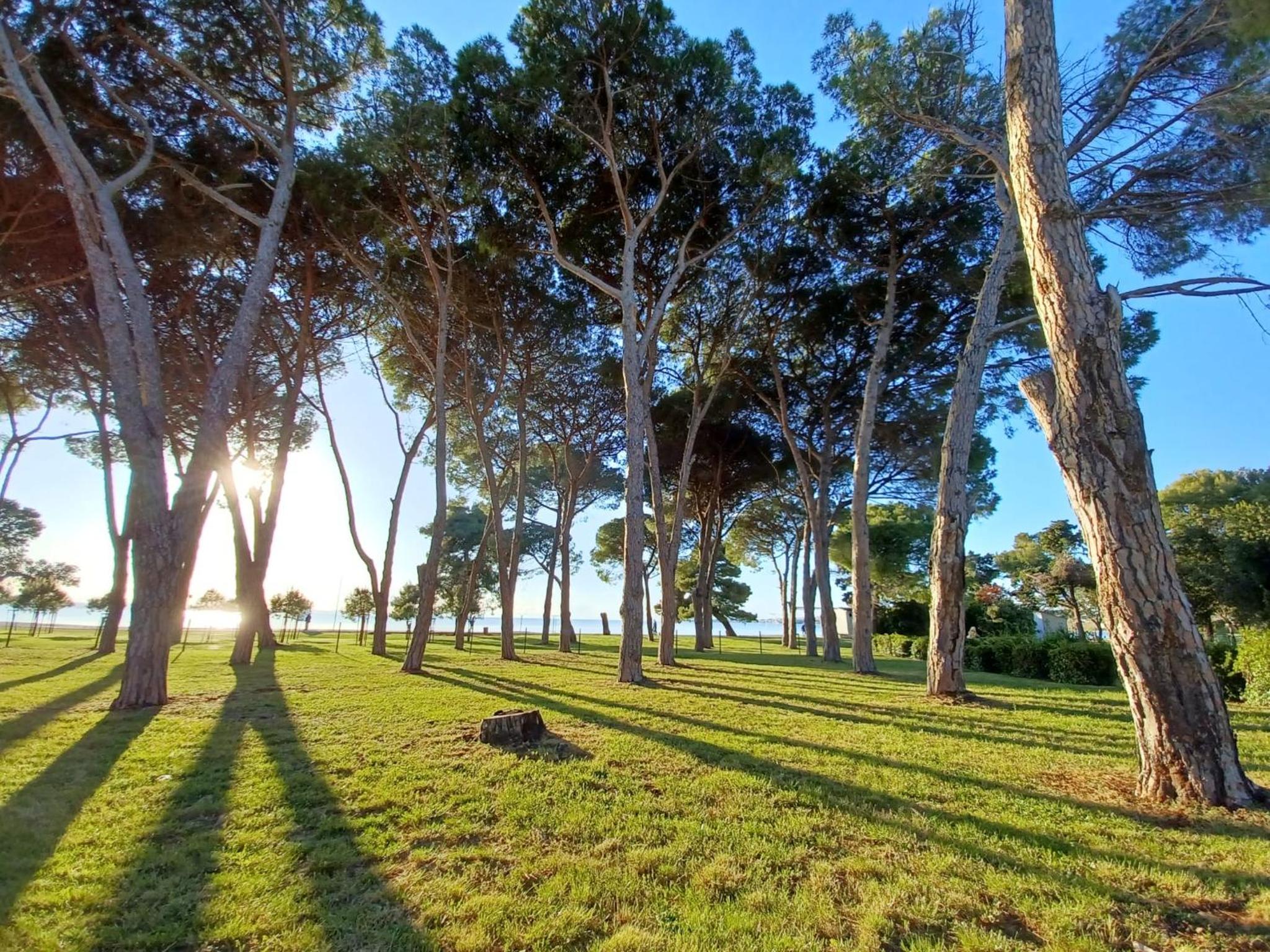 Photo 34