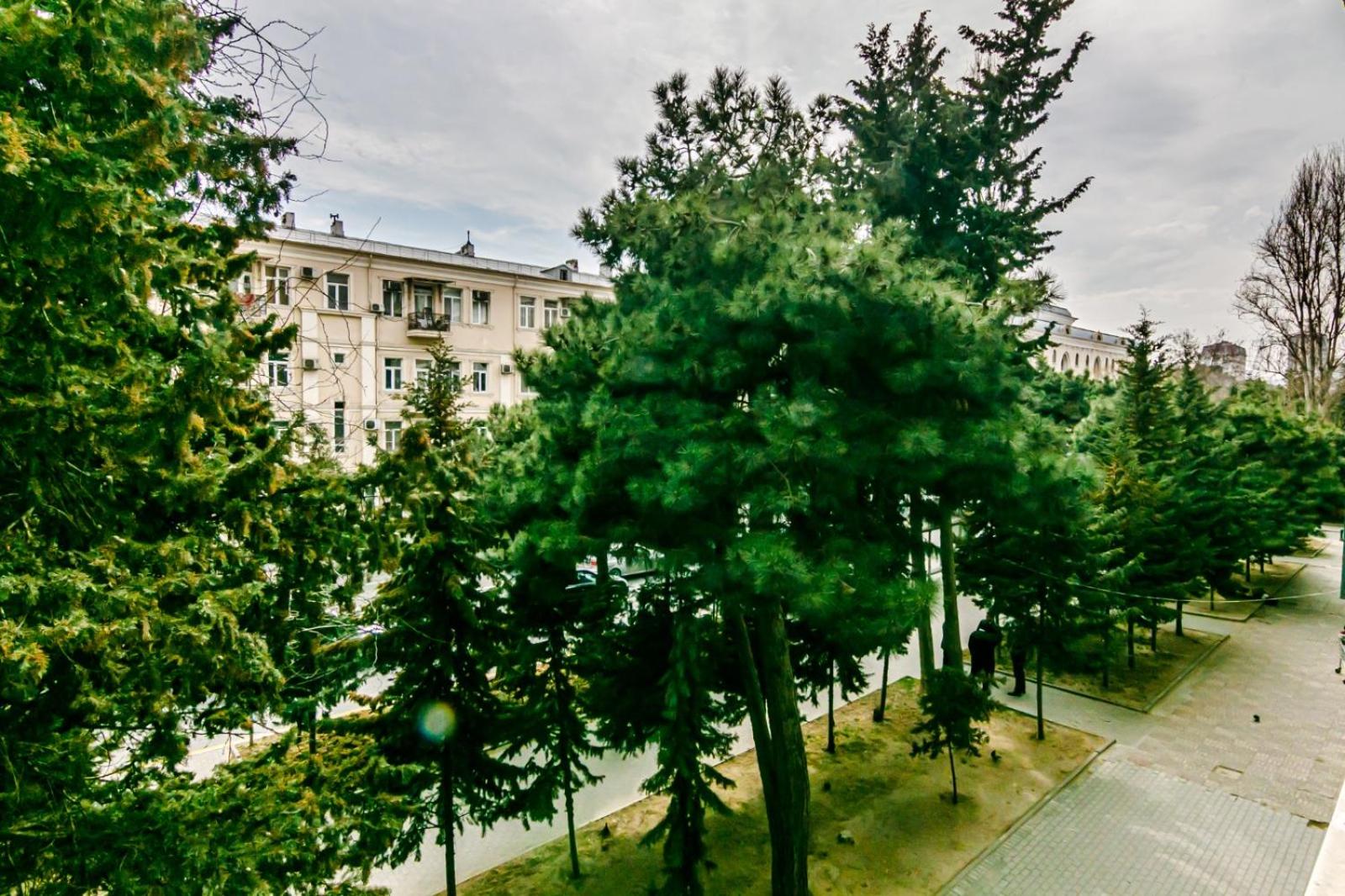 Deluxe Apartment 251