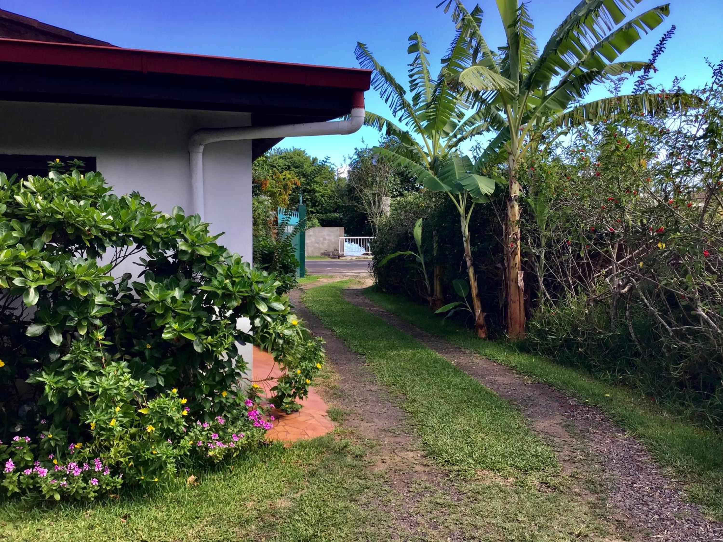 Photo 19