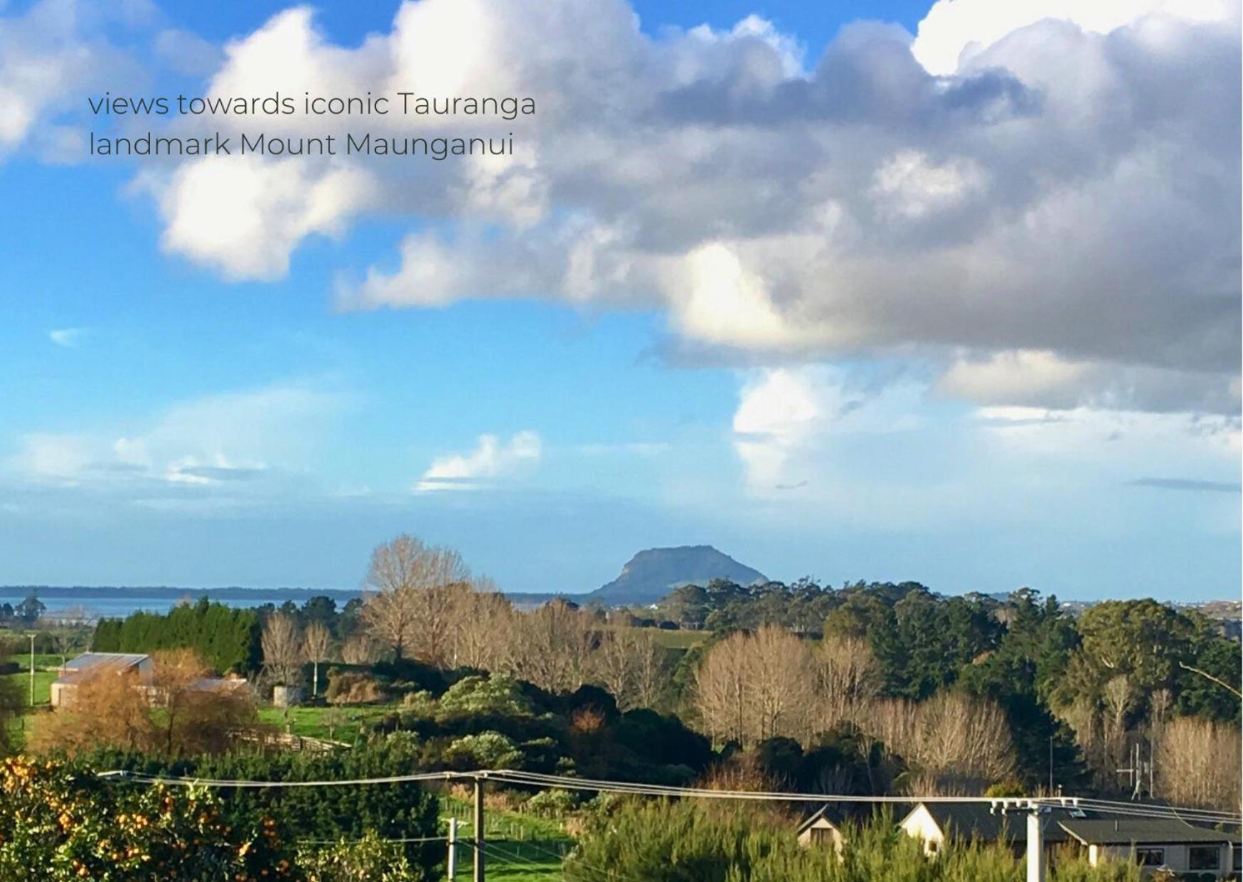 Minden Meadows Retreat view 4