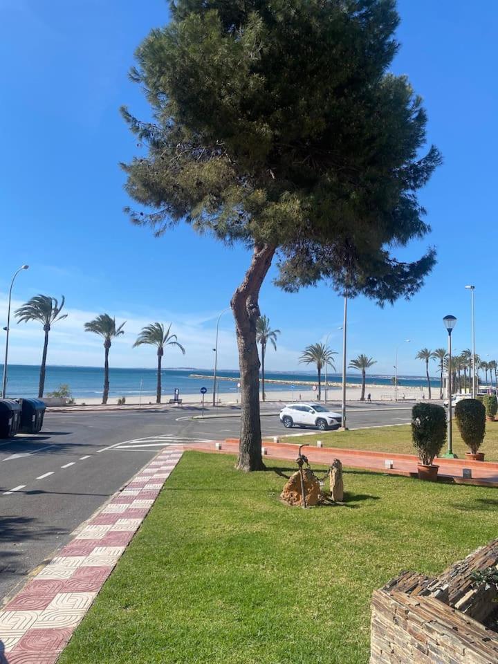 Refugio del Mar