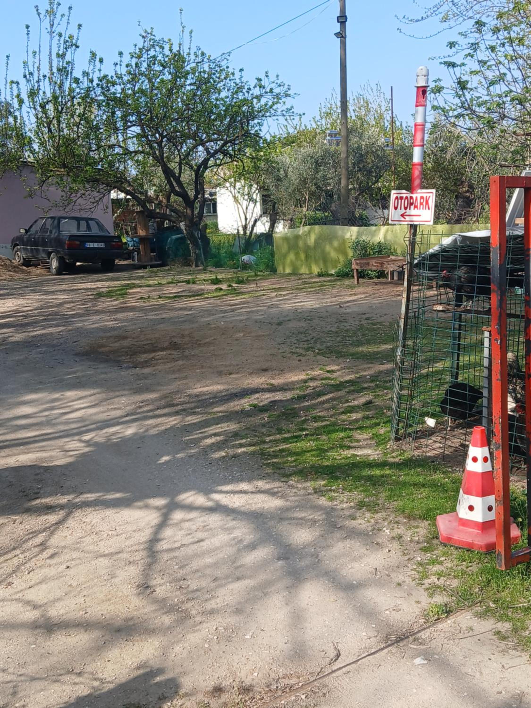 parking