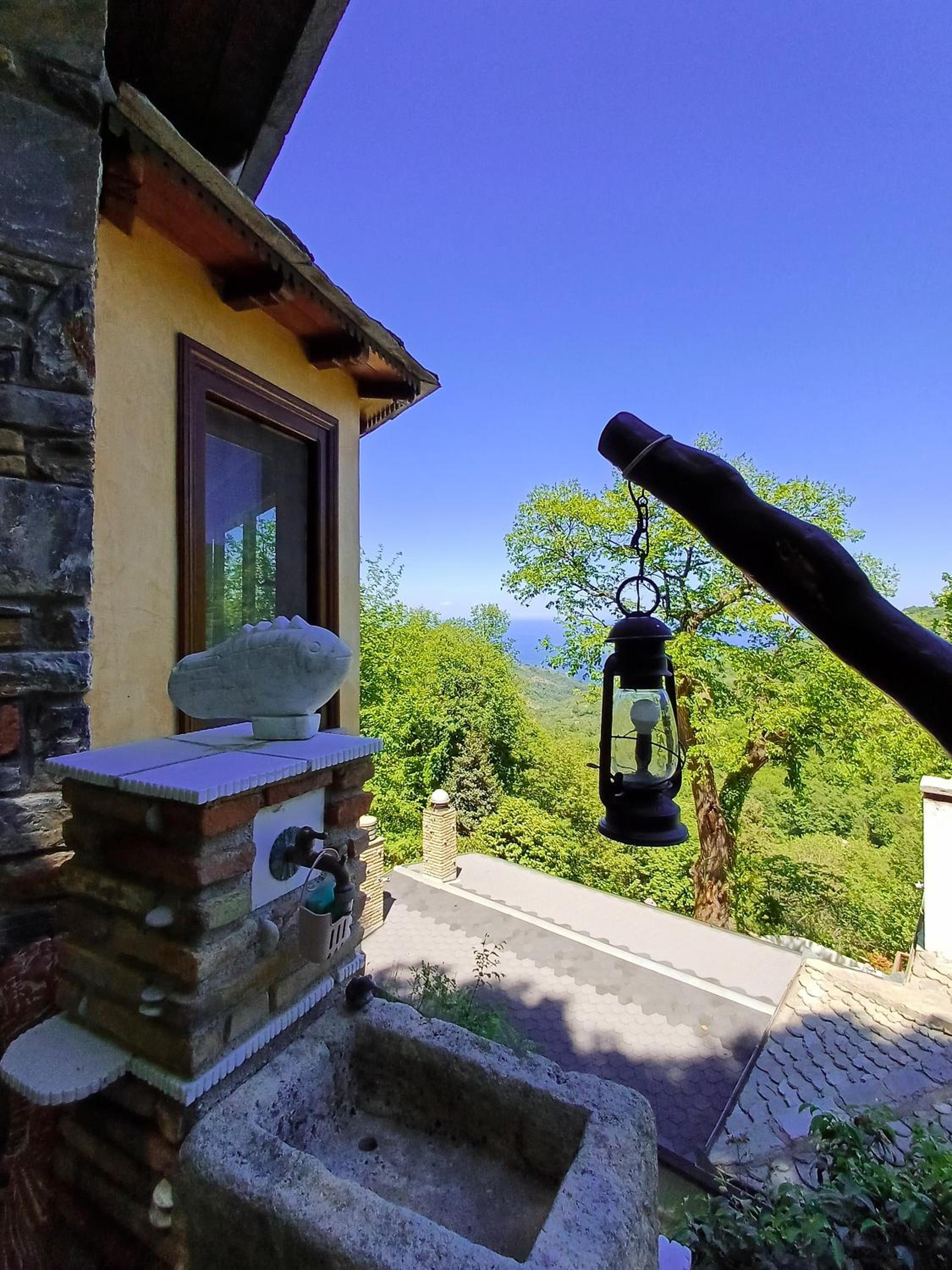 The Mushroom Cottage