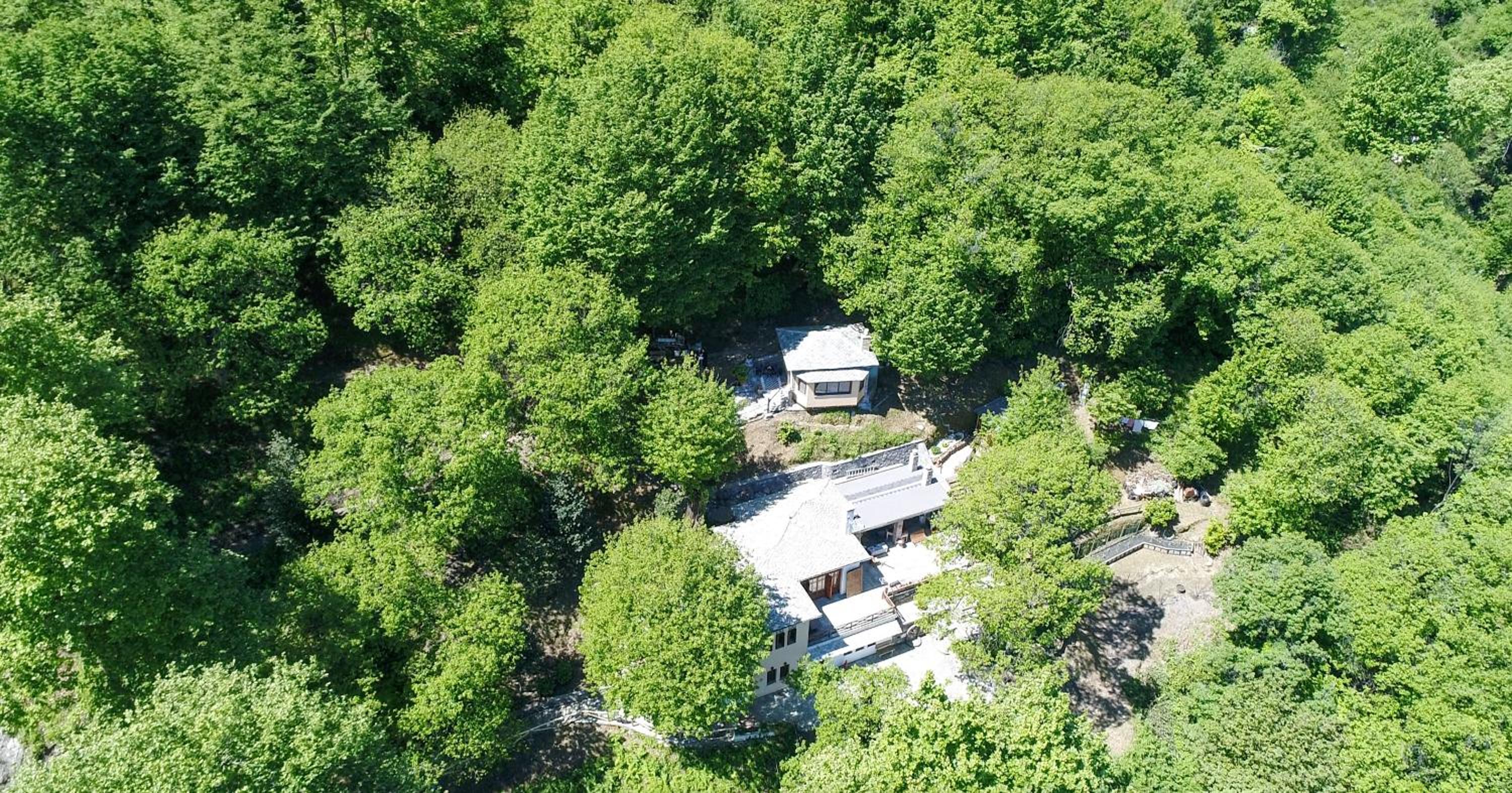 The Mushroom Cottage