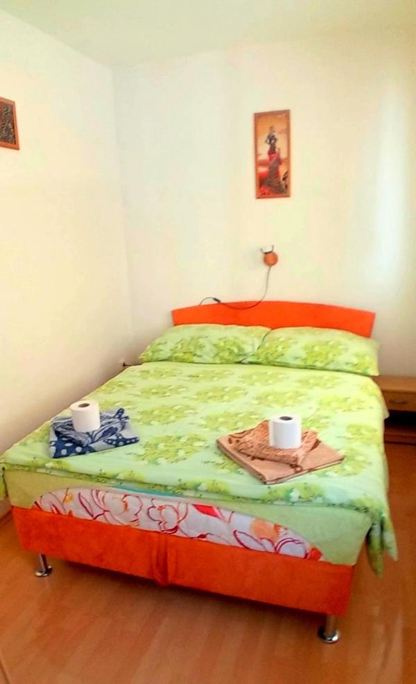 Photo 44