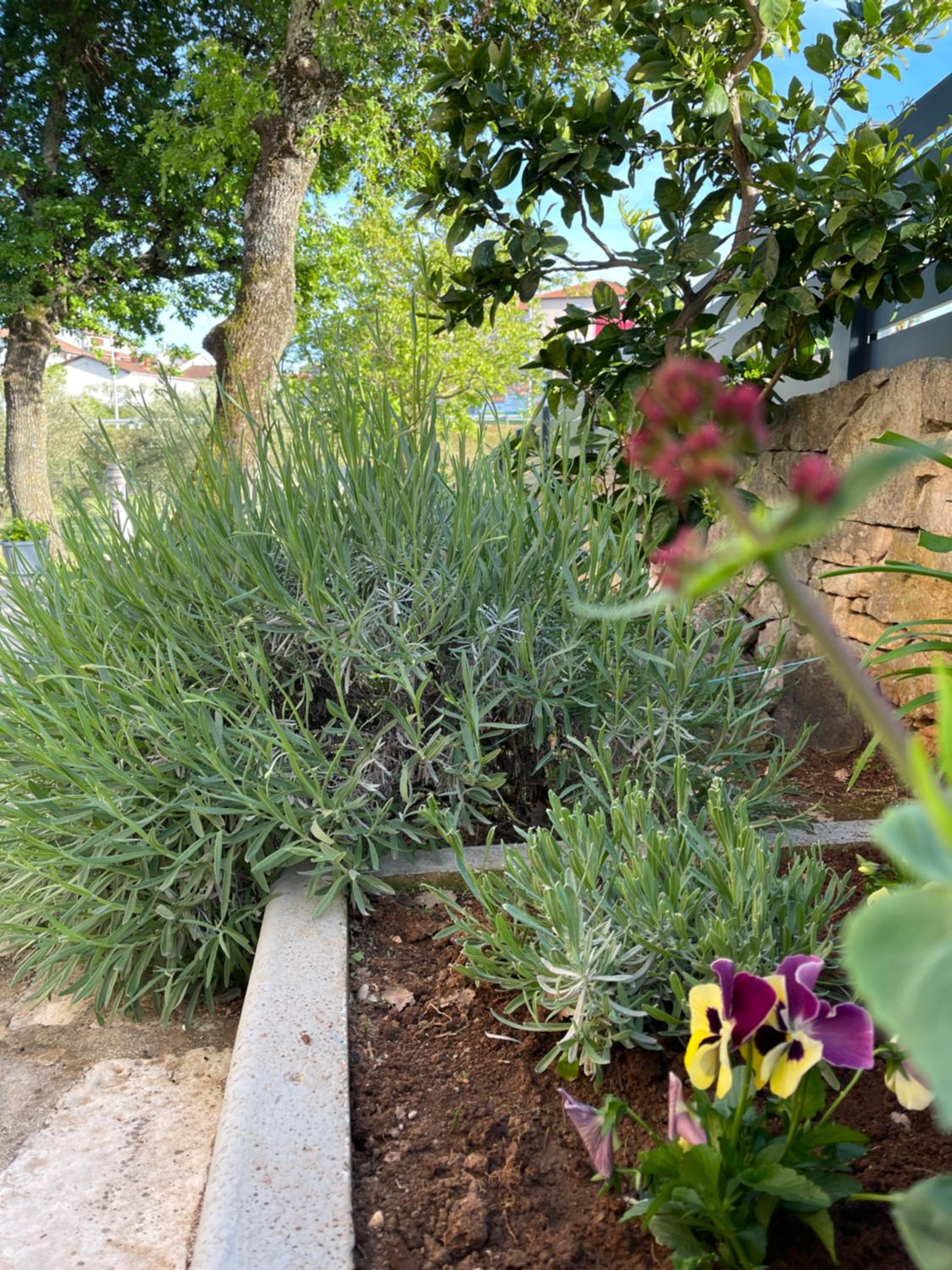 Photo 32