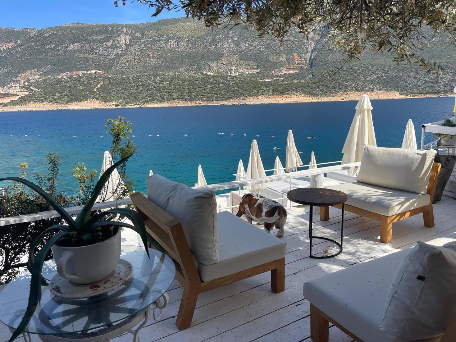 Club Çapa Hotel - Image 214