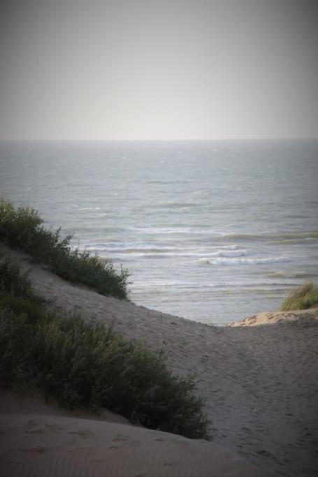 Boutique appartment with vue on sea and dunes