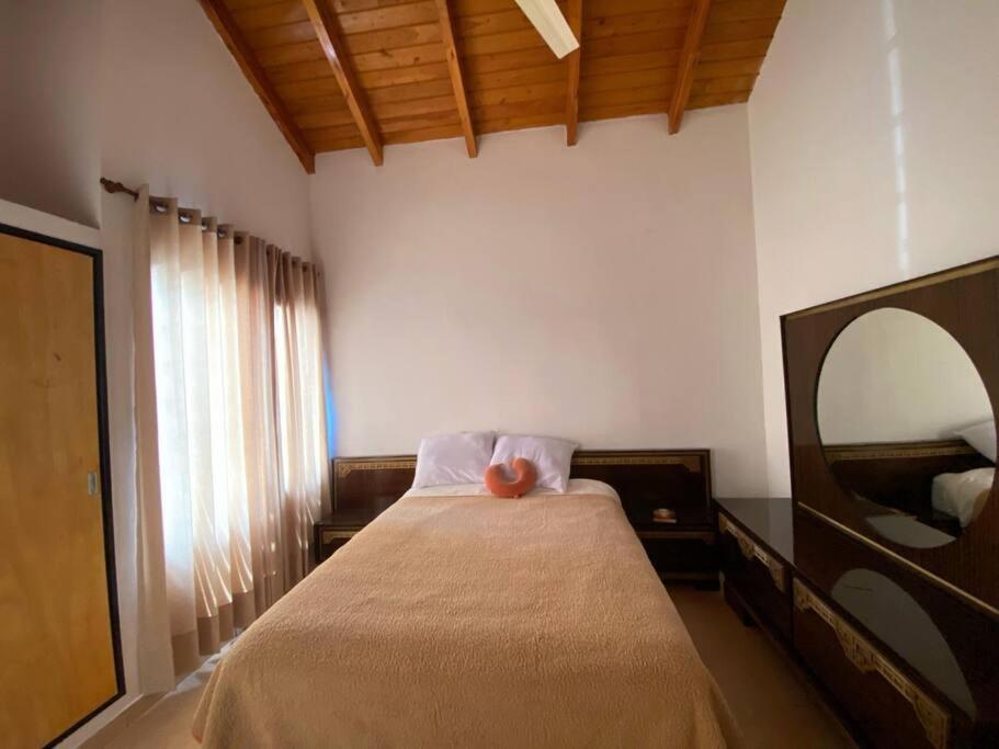 Casa Ttica