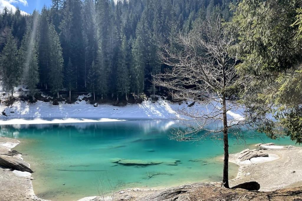 4 Bedroom Penthouse Apt in Flims Waldhaus