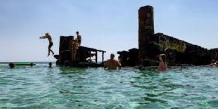 human