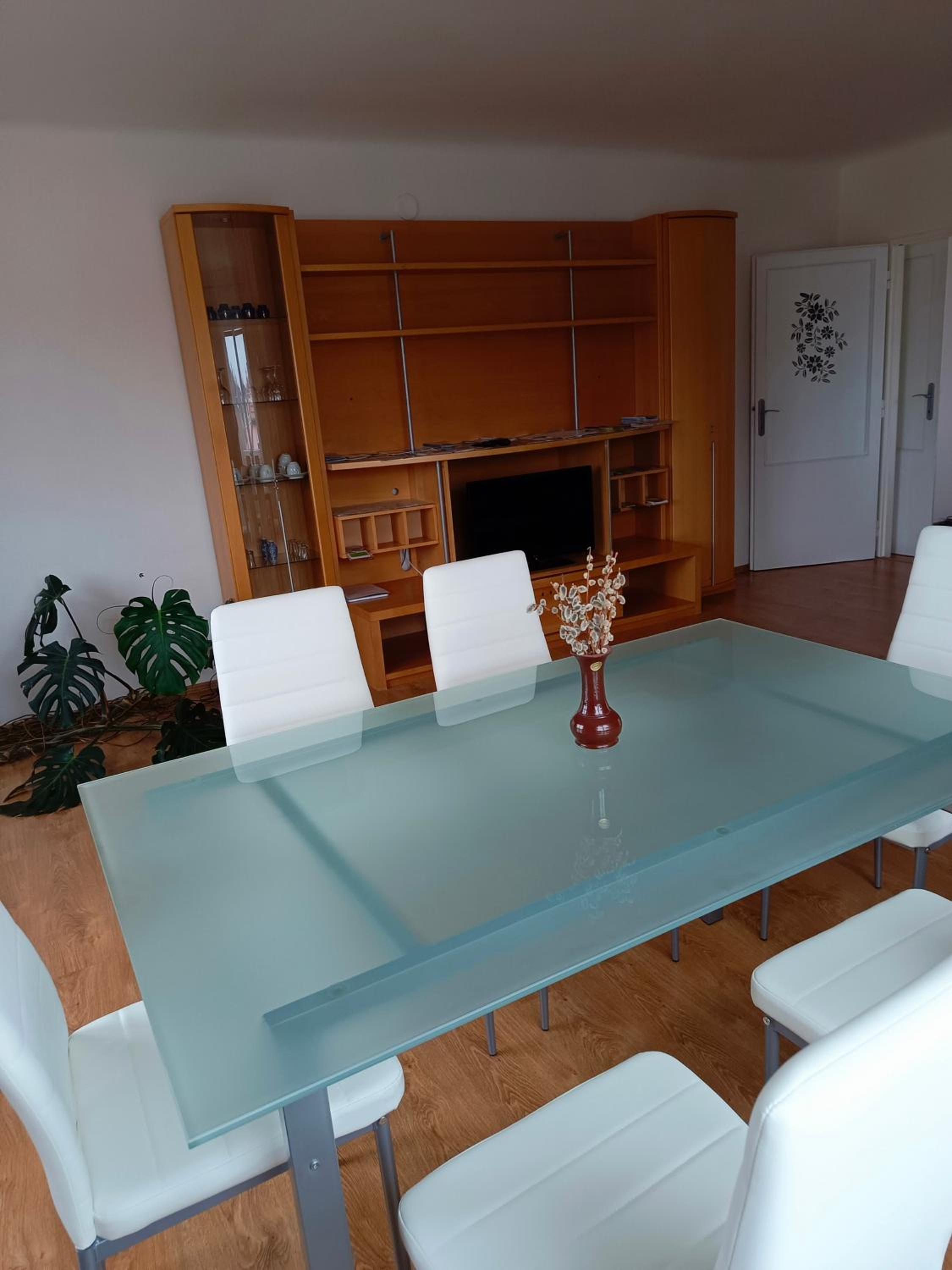 Apartment Pražská