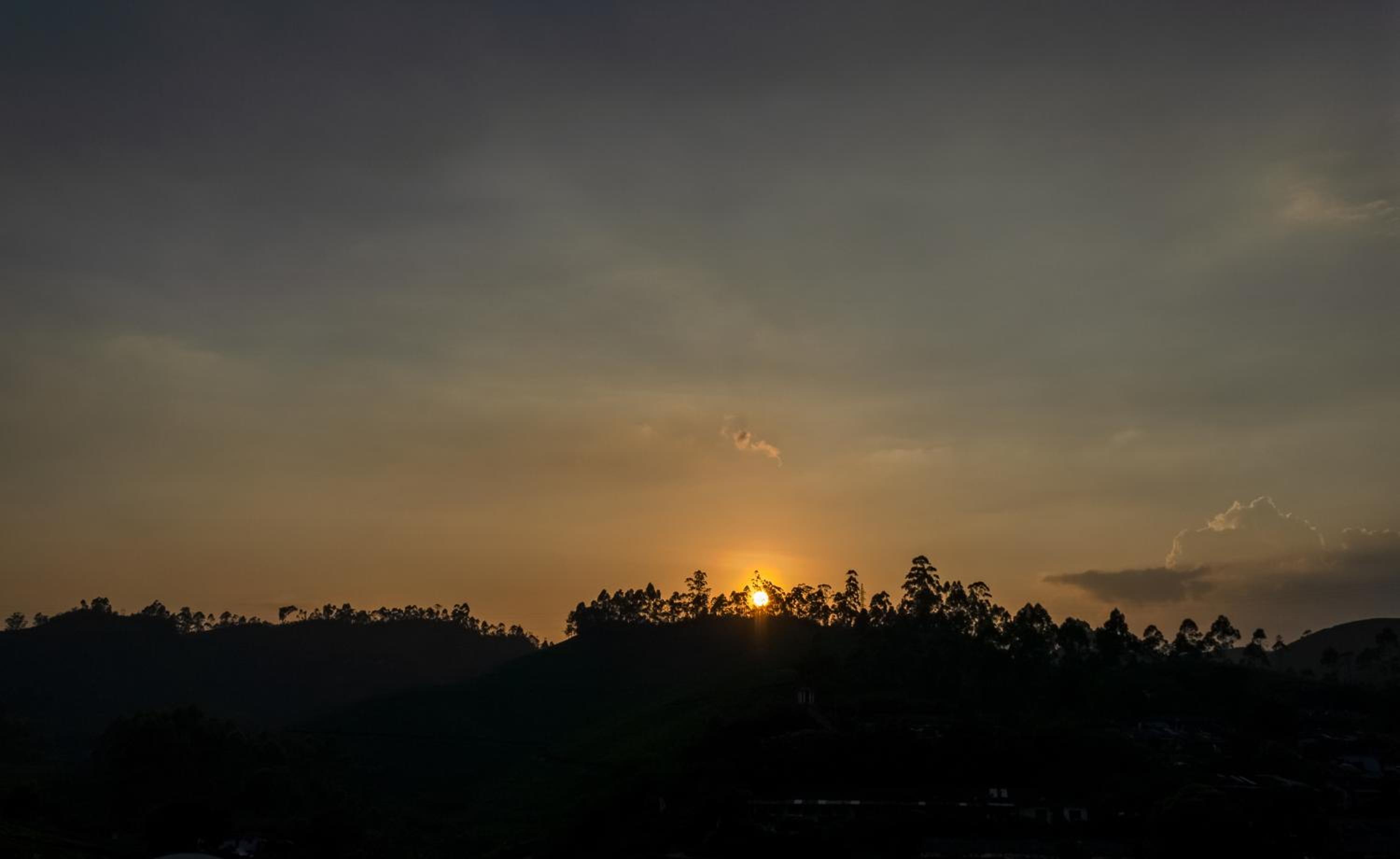 Munnar Vacations - HillView Munnar - Property Image 8