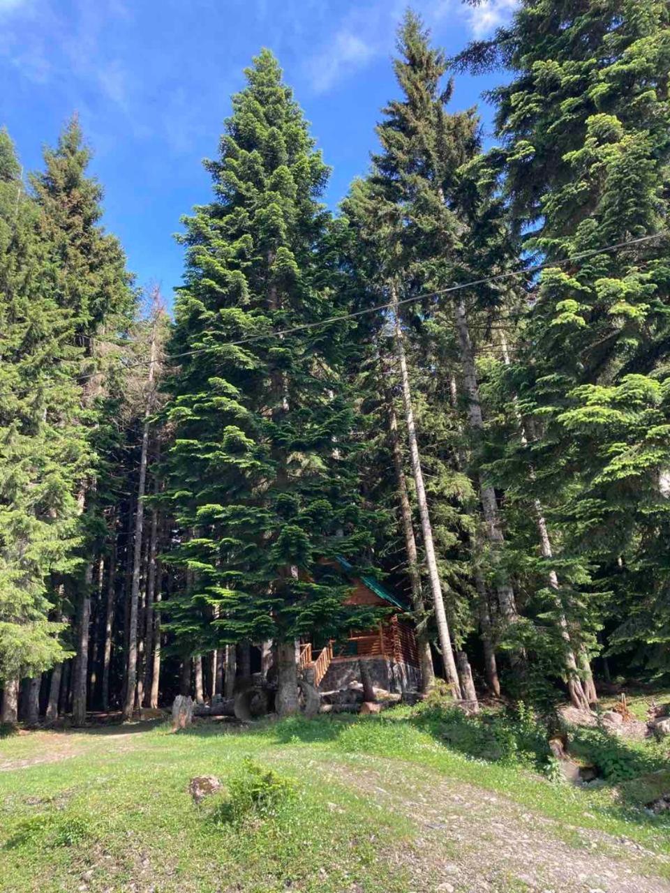 Rest House