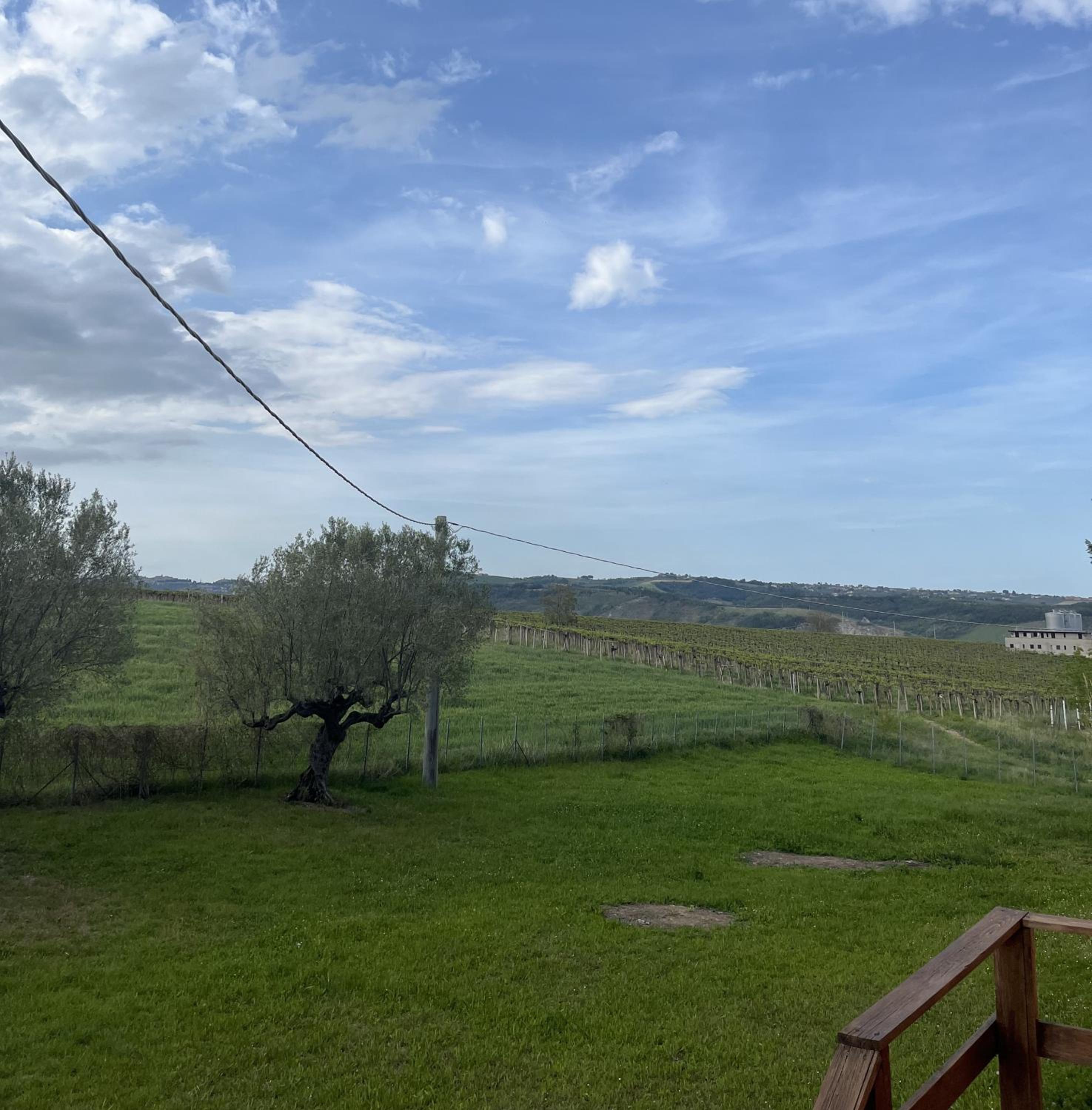 Podere VignaLago