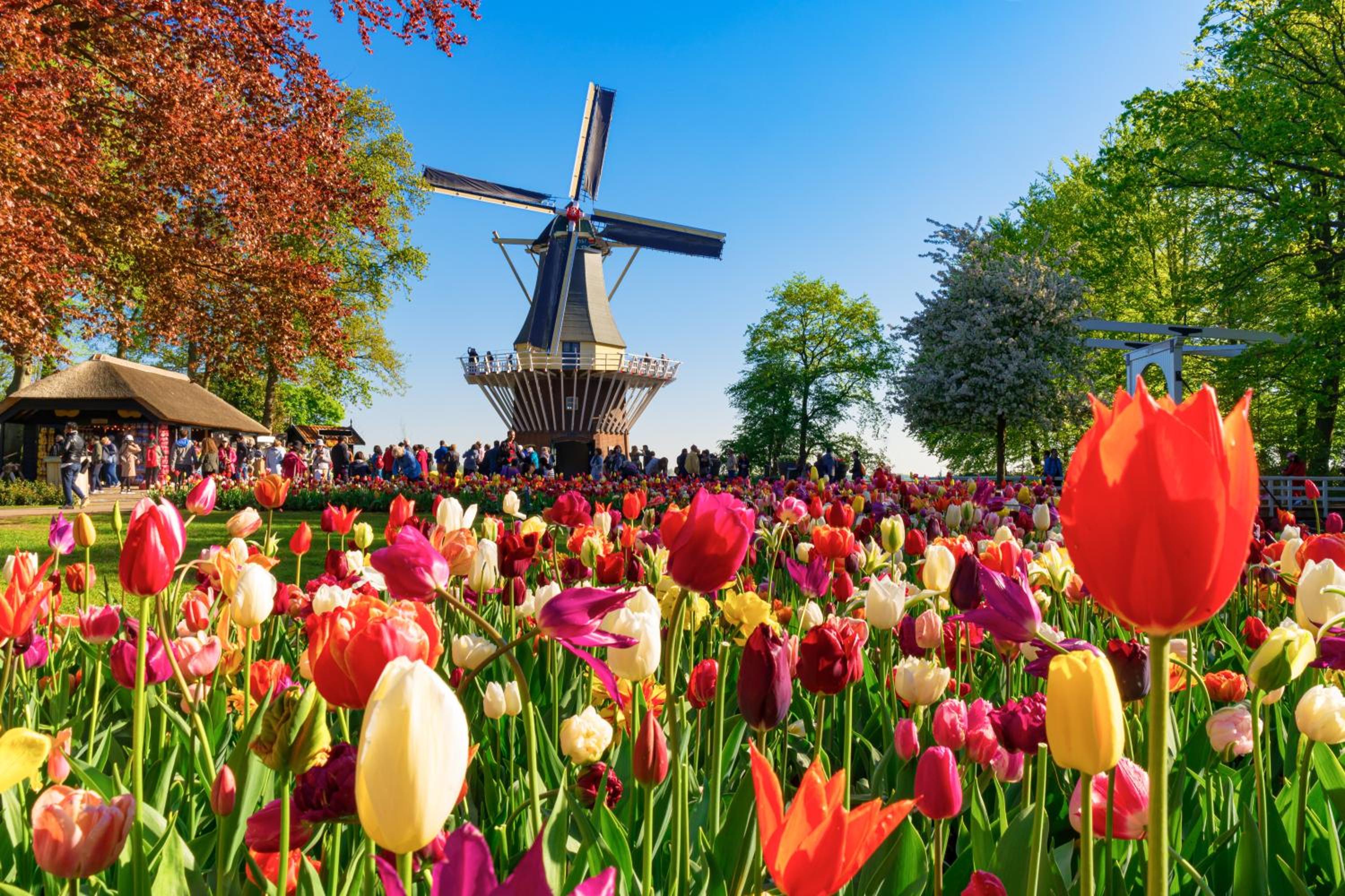 Heerehuys Lisse