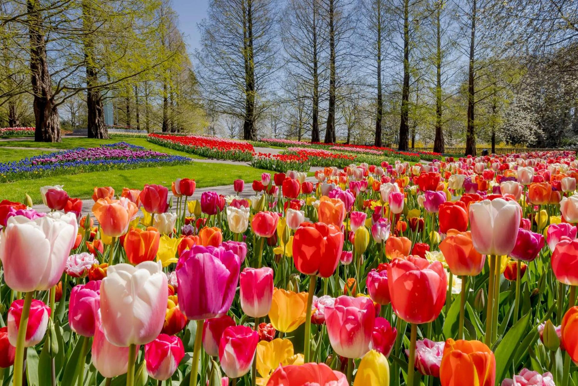 Heerehuys Lisse