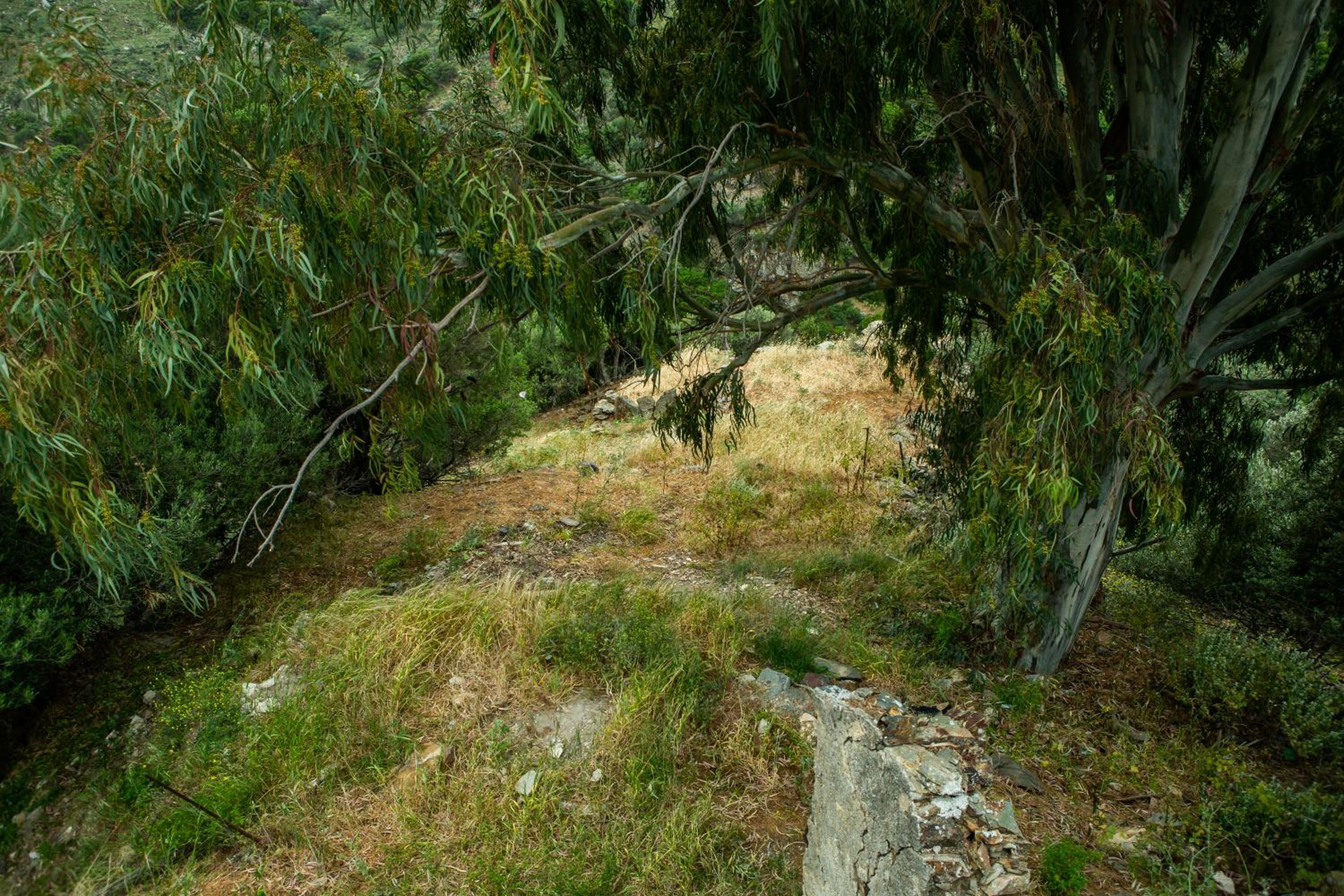 Photo 41