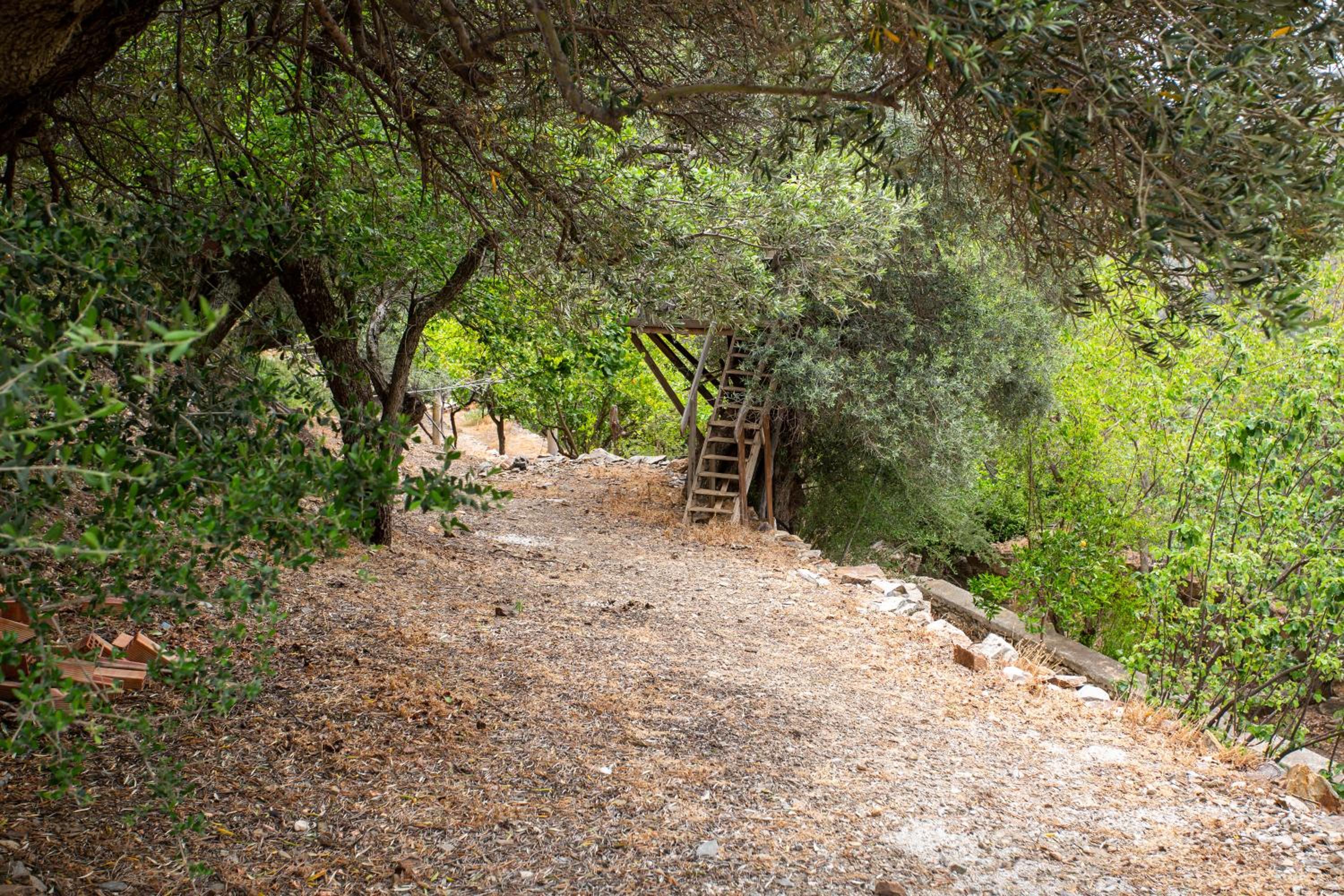 Photo 45
