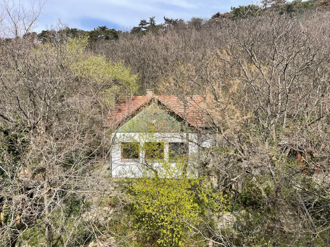 Rustic Cottage & Garden Retreat on Buda Hilltop view 3