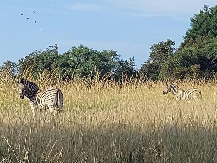 Pumula Game Farm view 5
