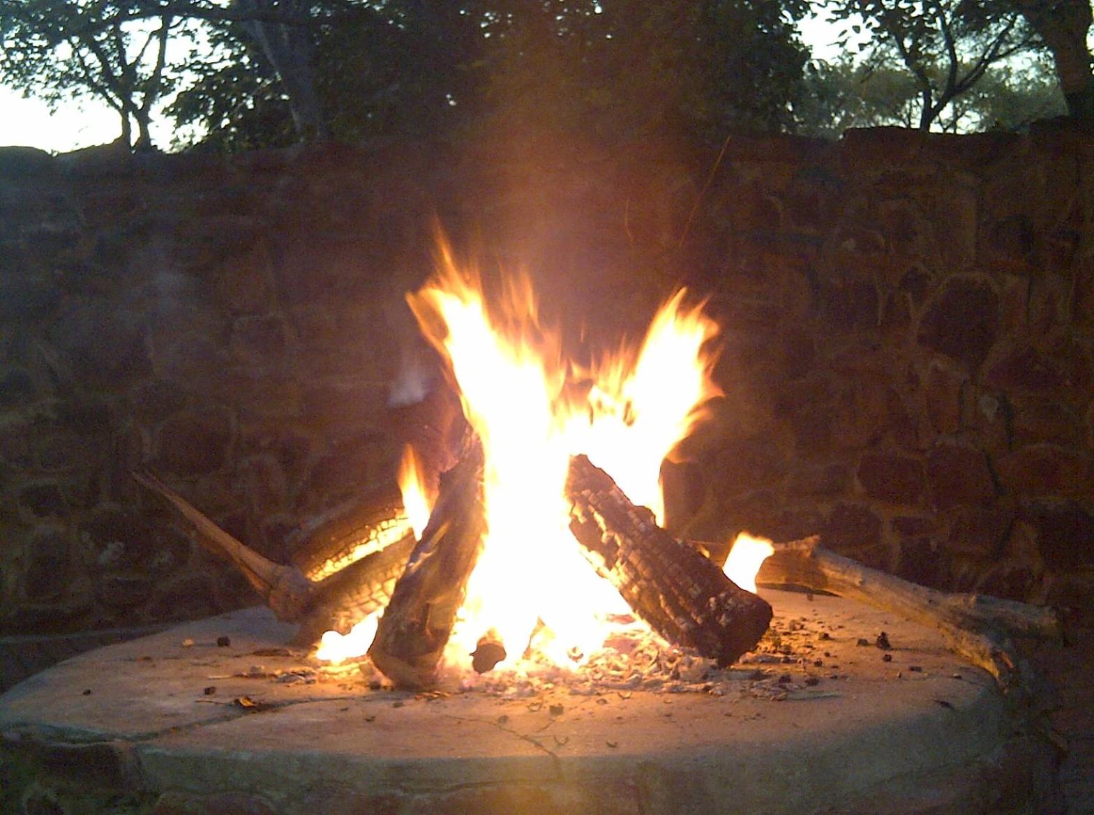 Photo 53