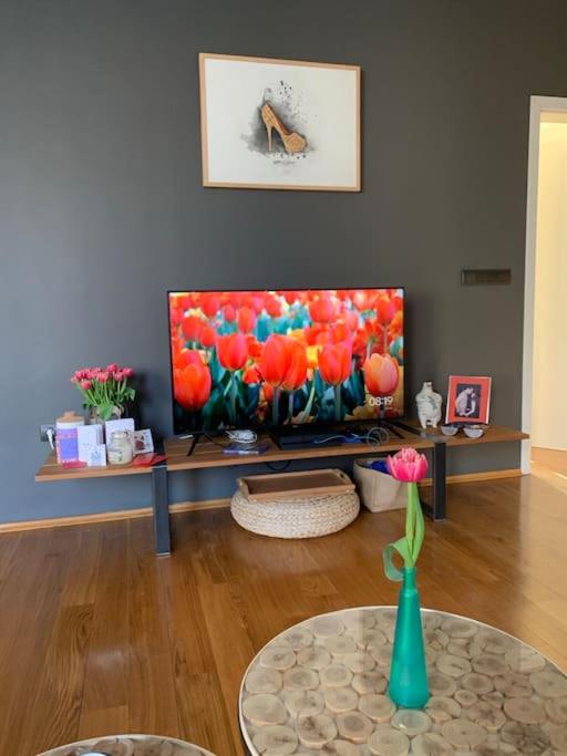 Large 2-BEDROOM Centre Art Apartment