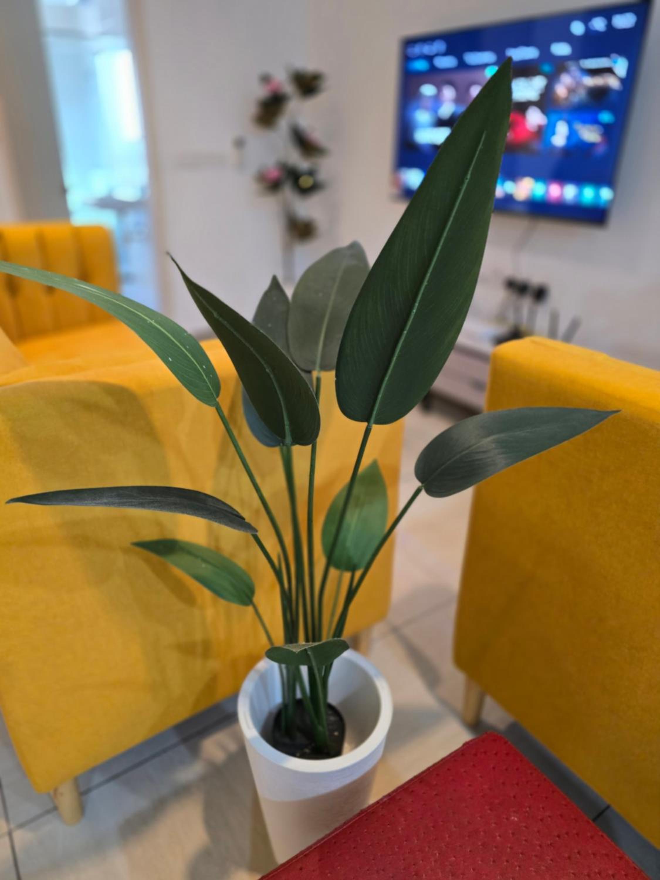 The Octagon Ipoh City Centre Leisure Suite photo 7