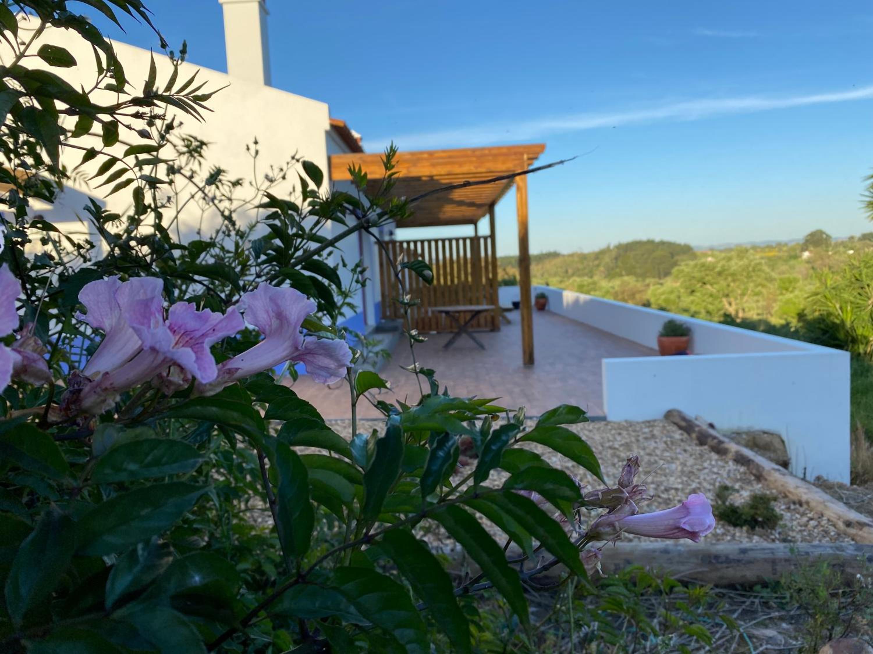 Monte da Caniveta - Casa do Avô view 3