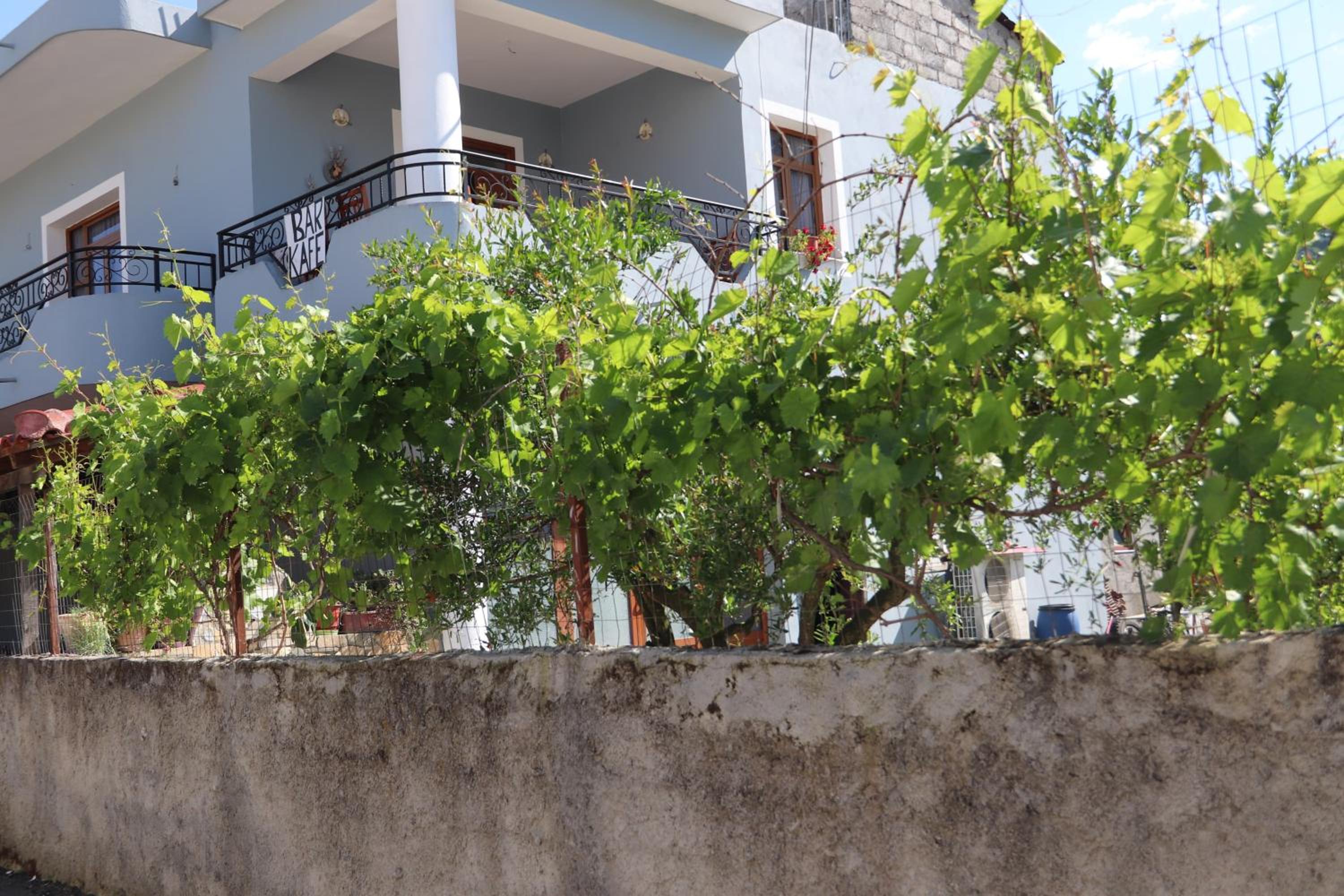 Guesthouse SELI