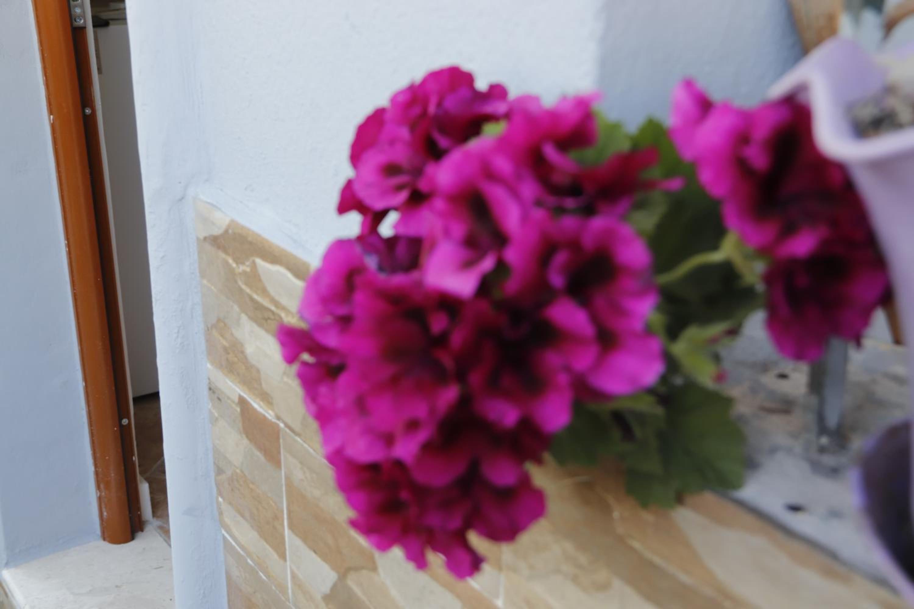 Guesthouse SELI