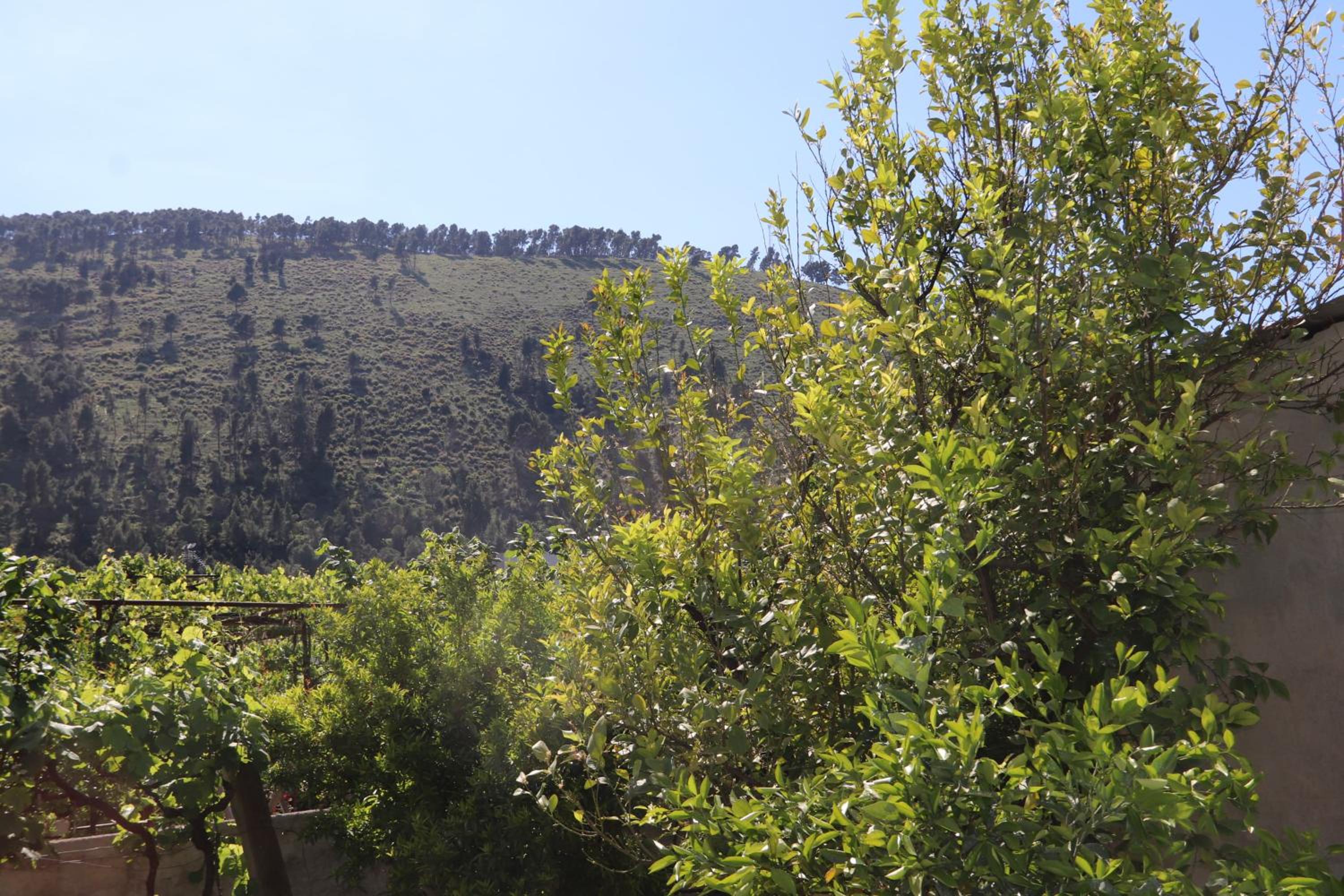 Guesthouse SELI