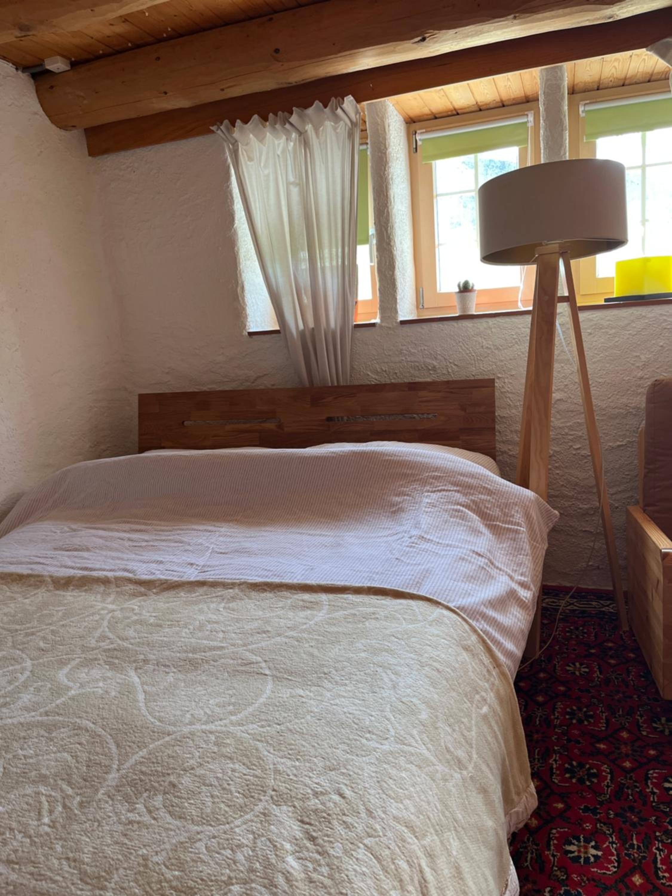 Charming alps apartment perfect for walk/cycle/ski