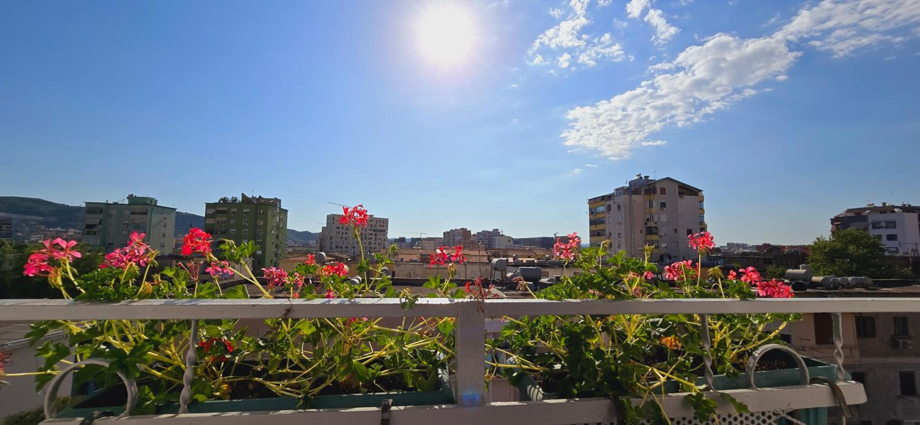 Arkle Apartments 2