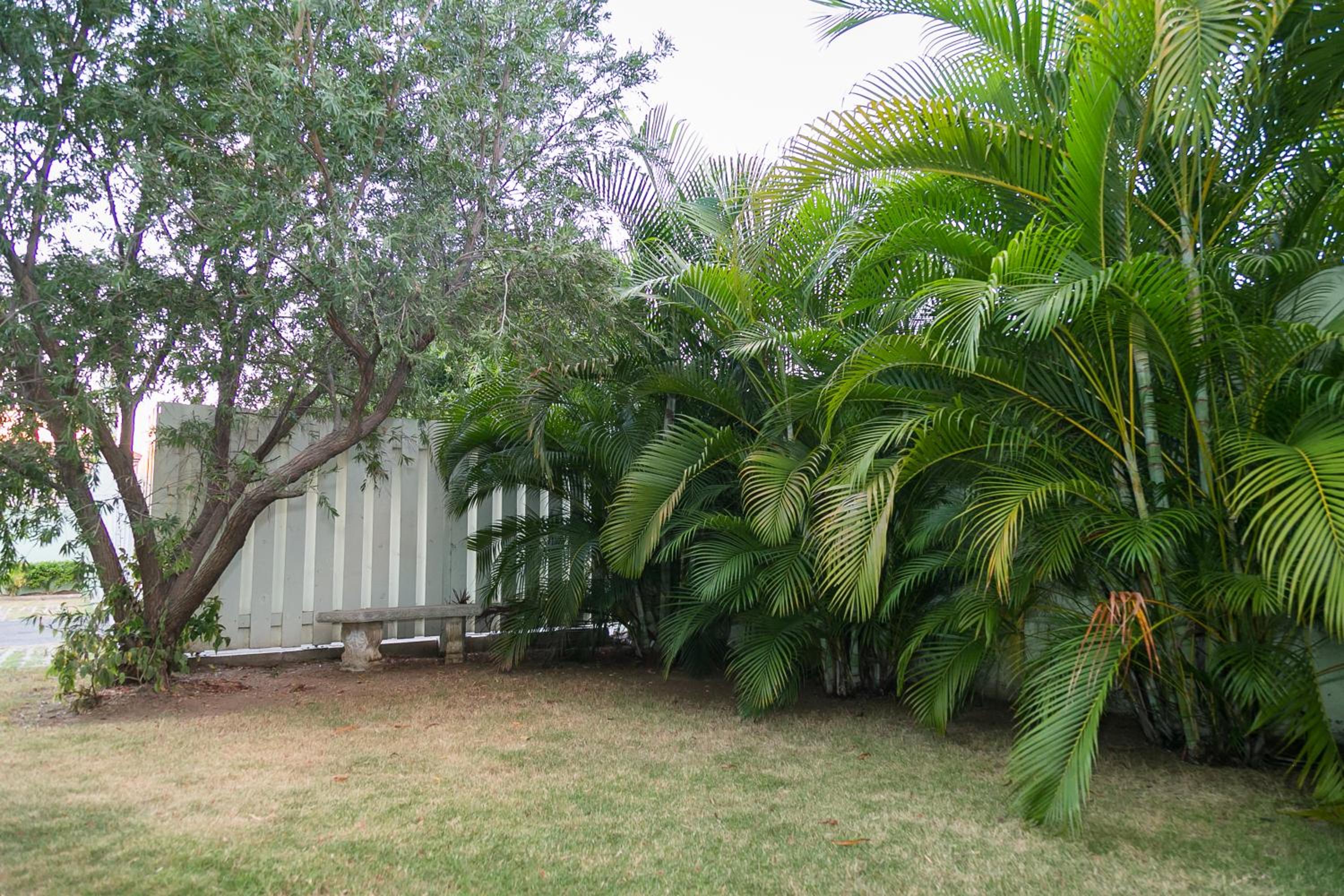 Photo 25