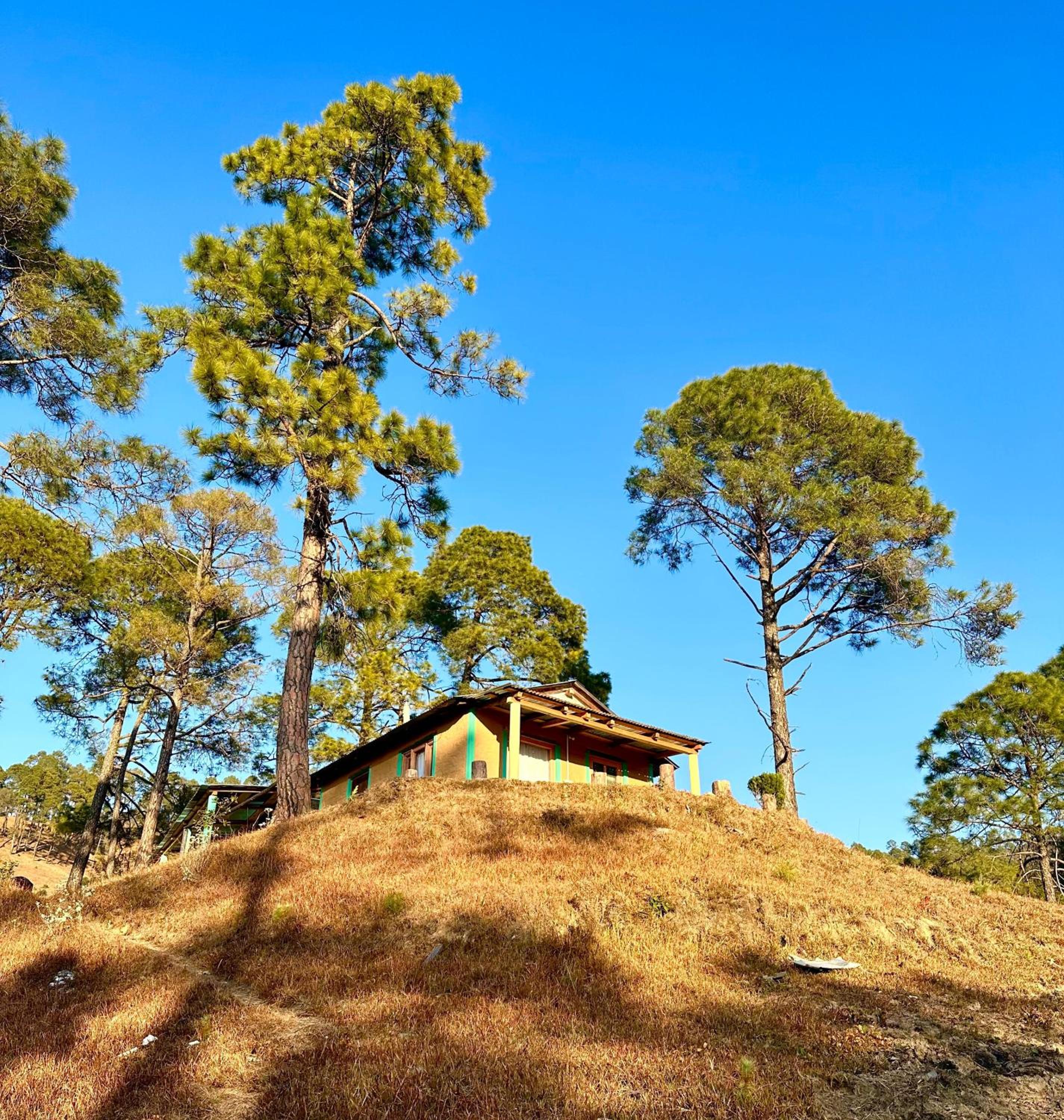 Joshi Cottage Binsar