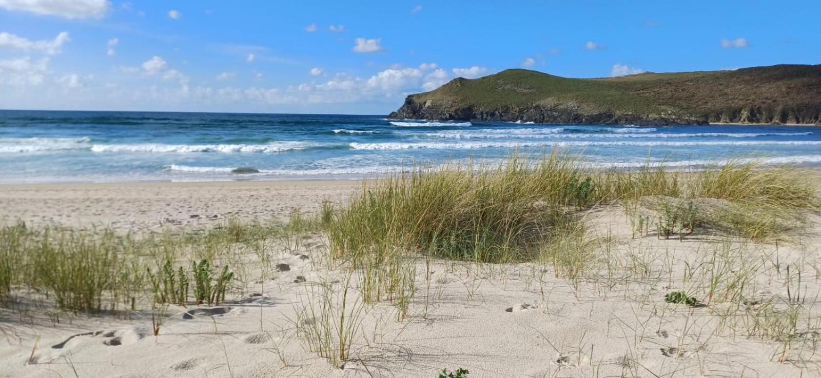 Alojamiento PLAYA DE PANTIN