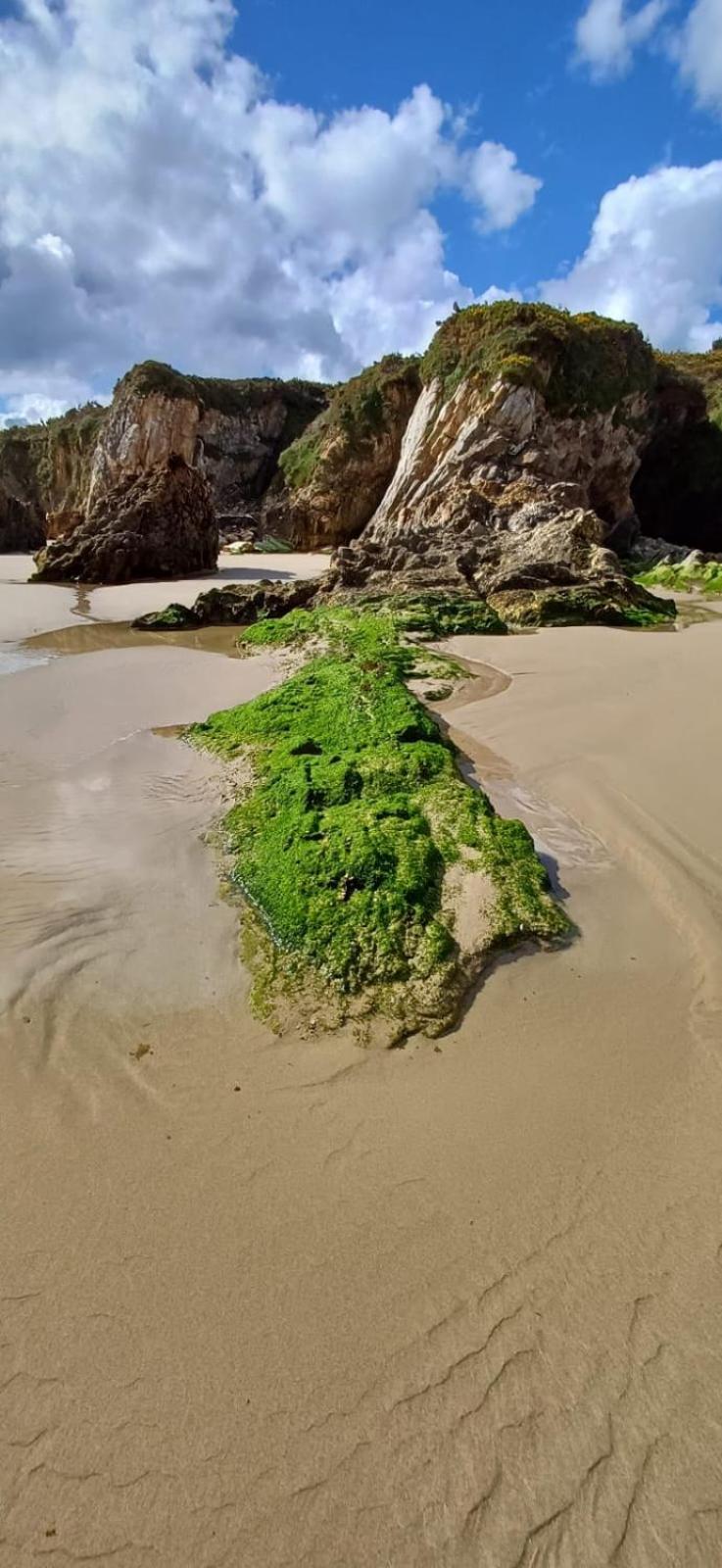Alojamiento PLAYA DE PANTIN